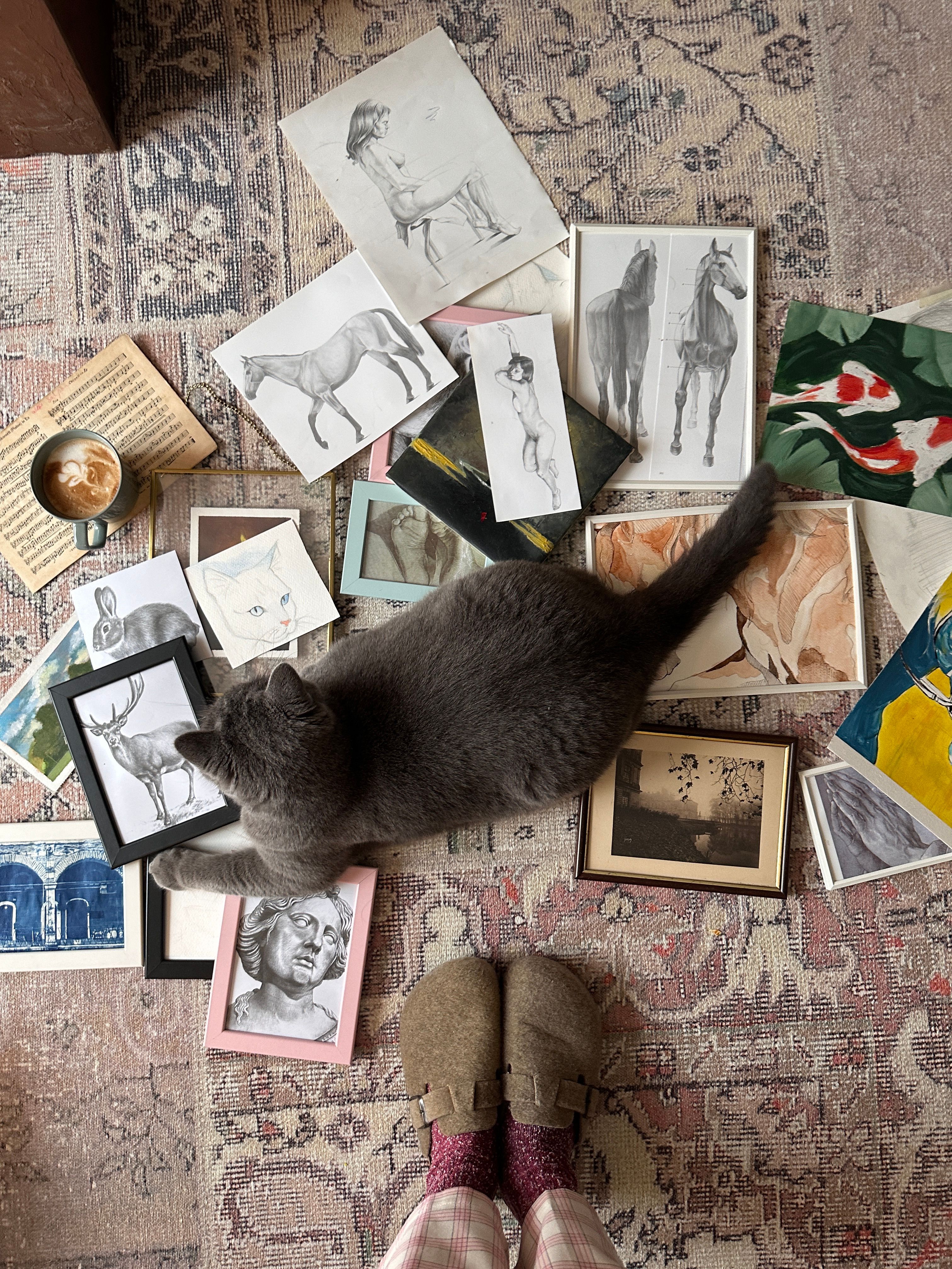 Flat lay of art sketches with a cat and cozy slippers on a patterned rug.