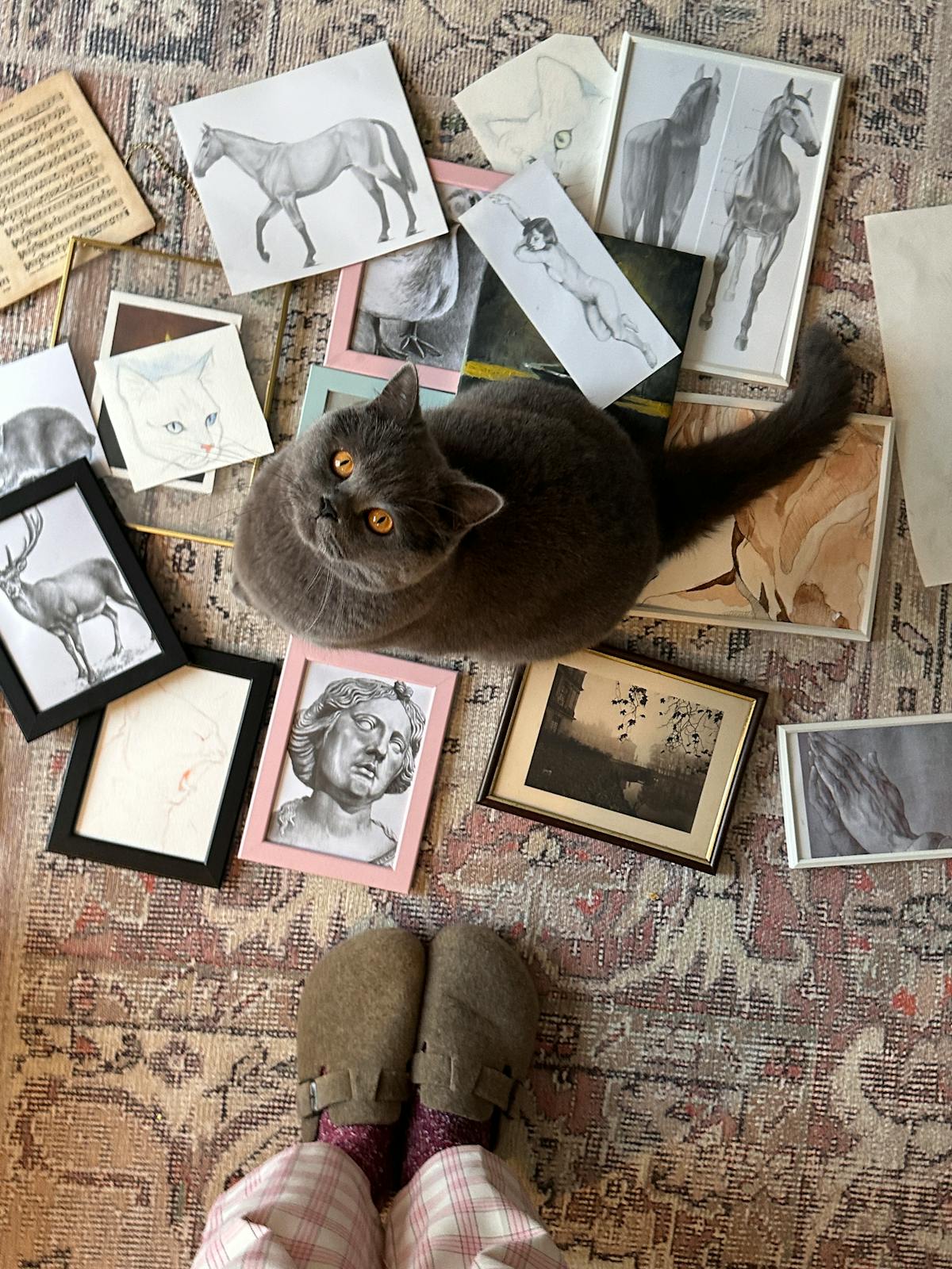 Stunning butterfly among wildflowers in sunlight