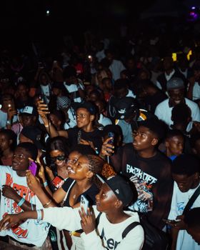 Vibrant crowd of diverse young adults enjoying a lively nighttime music concert.
