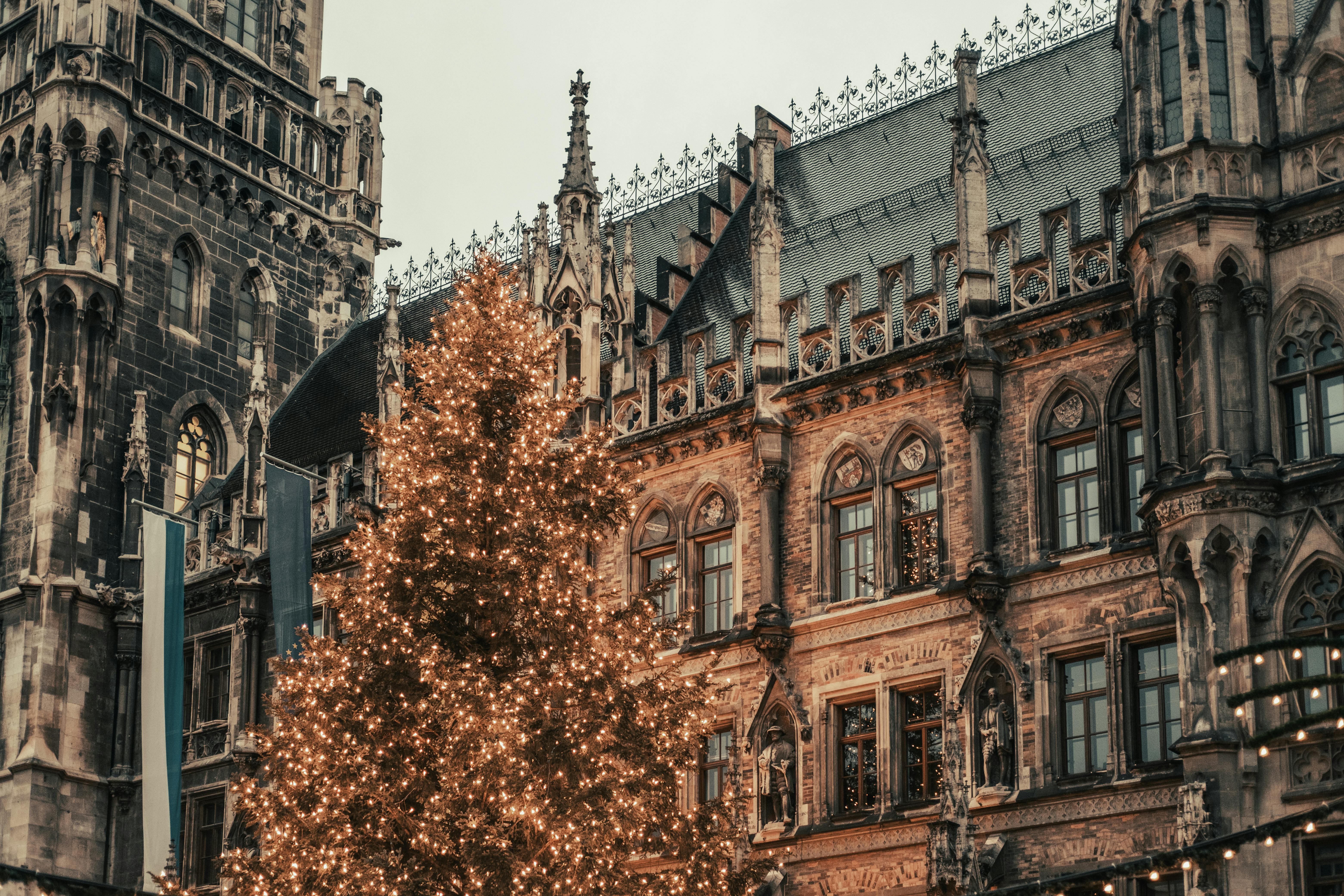 gothic architecture with festive christmas tree