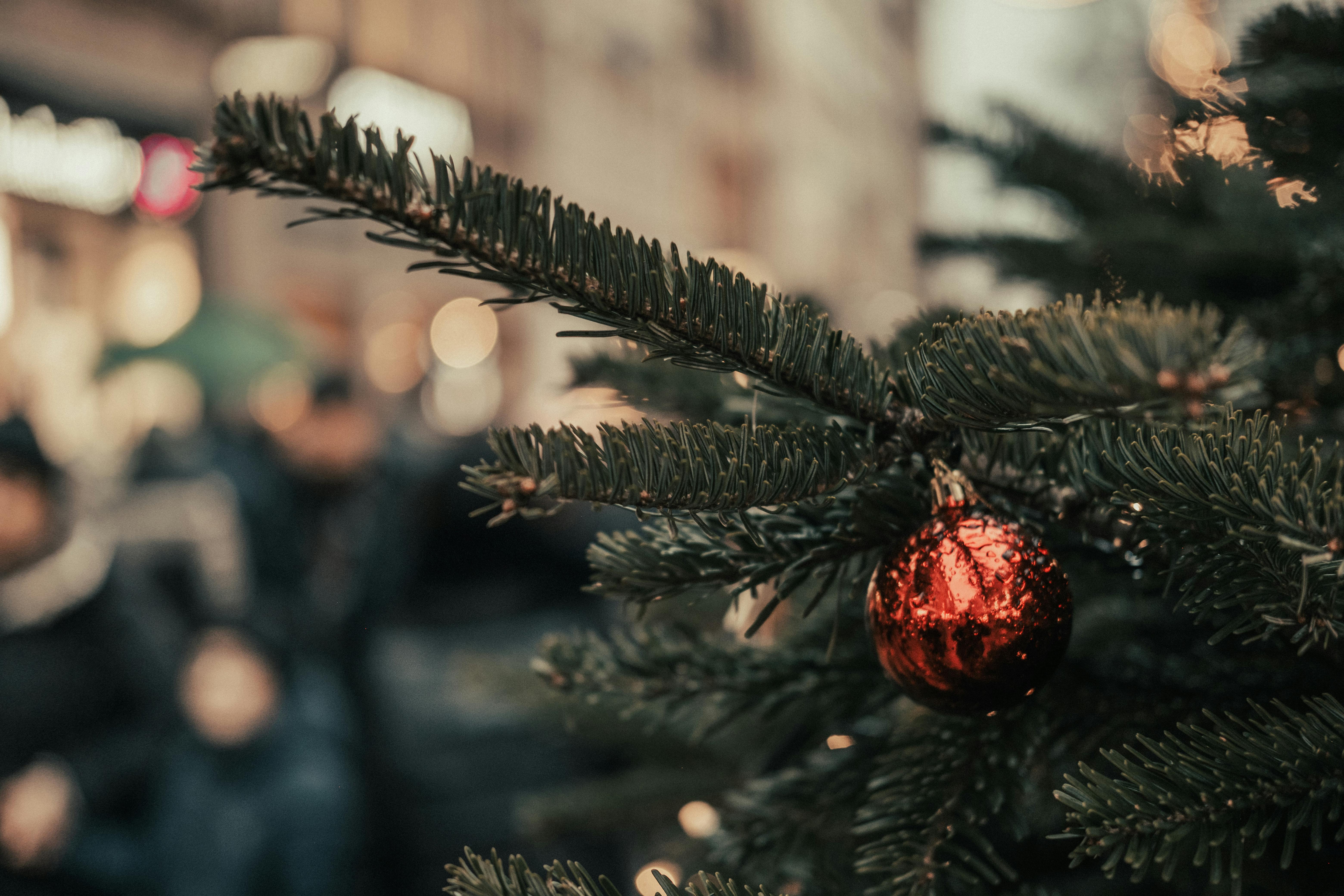 These Christmas Songs Most Likely to Tank Productivity at Work, Study Finds — Photo by Mâide Arslan on Pexels