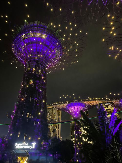 Free Gardens by the bay Singapur Stock Photo