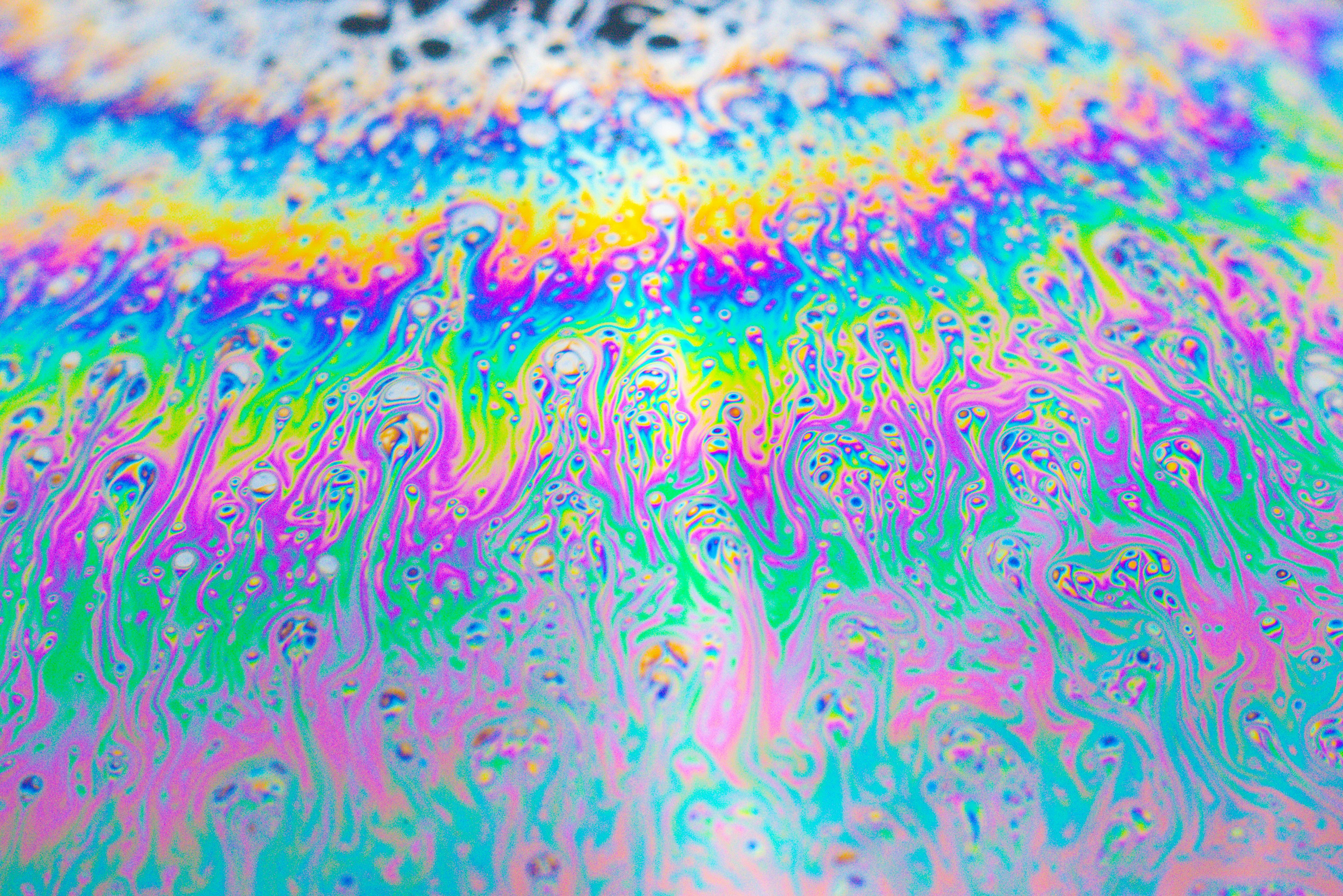 10.000+ melhores imagens de Dragon 4k · Download 100% grátis · Fotos