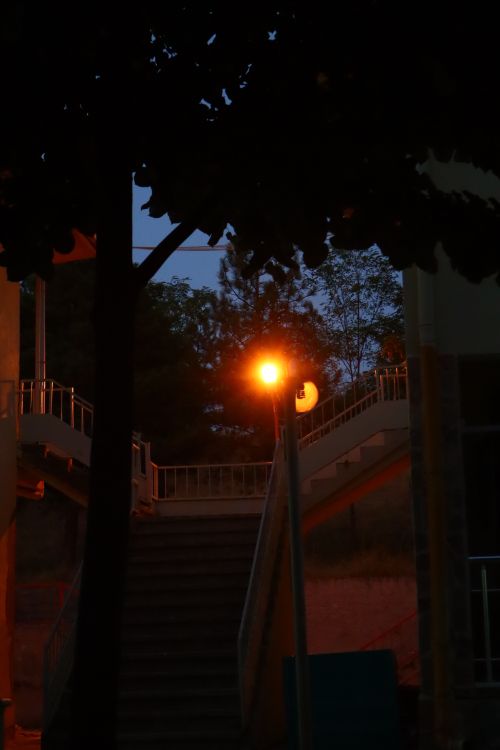 Free stock photo of evening, evening event, evening lighting Stock Photo