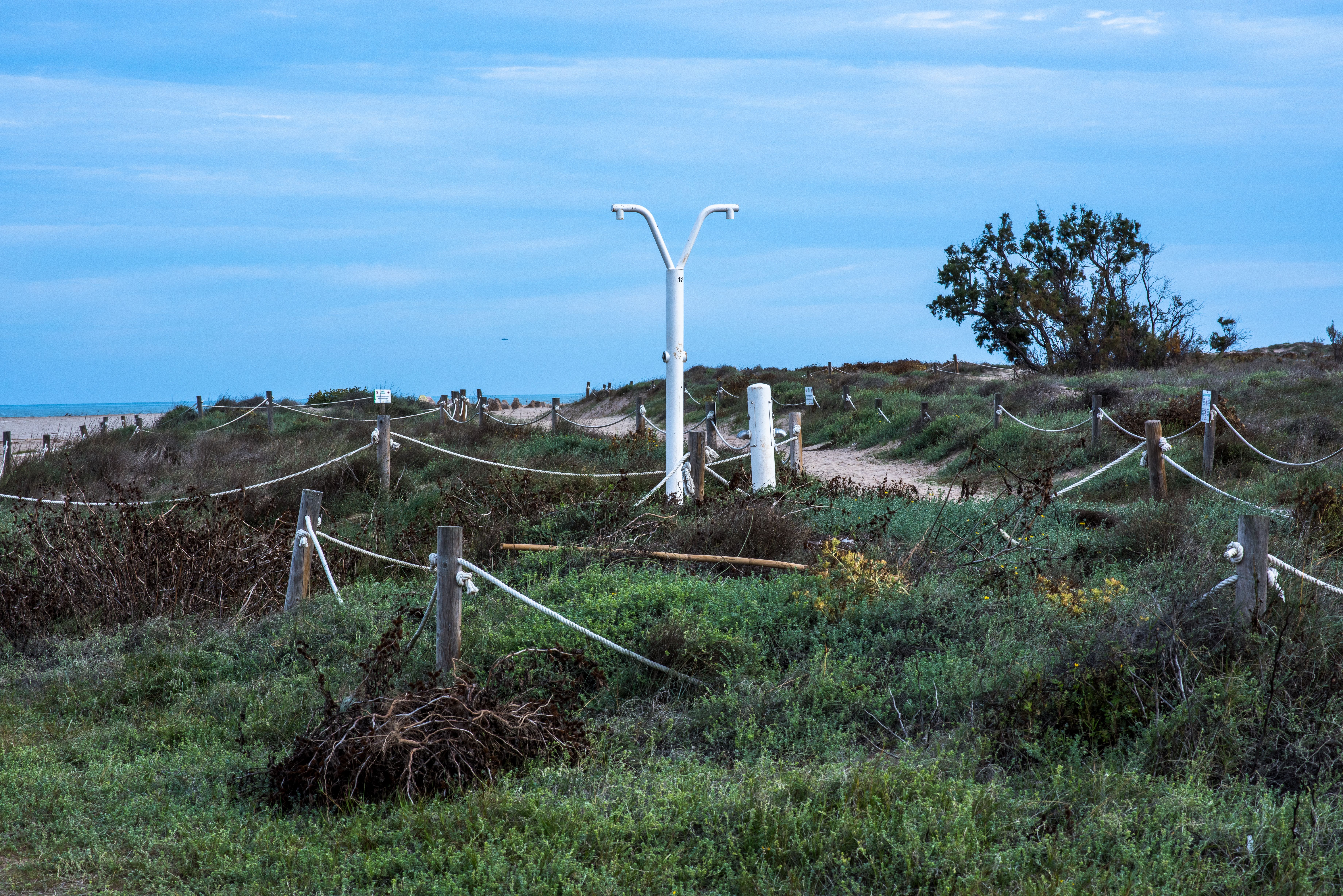 Coastal Path with Rope Fence and Lighting · Free Stock Photo