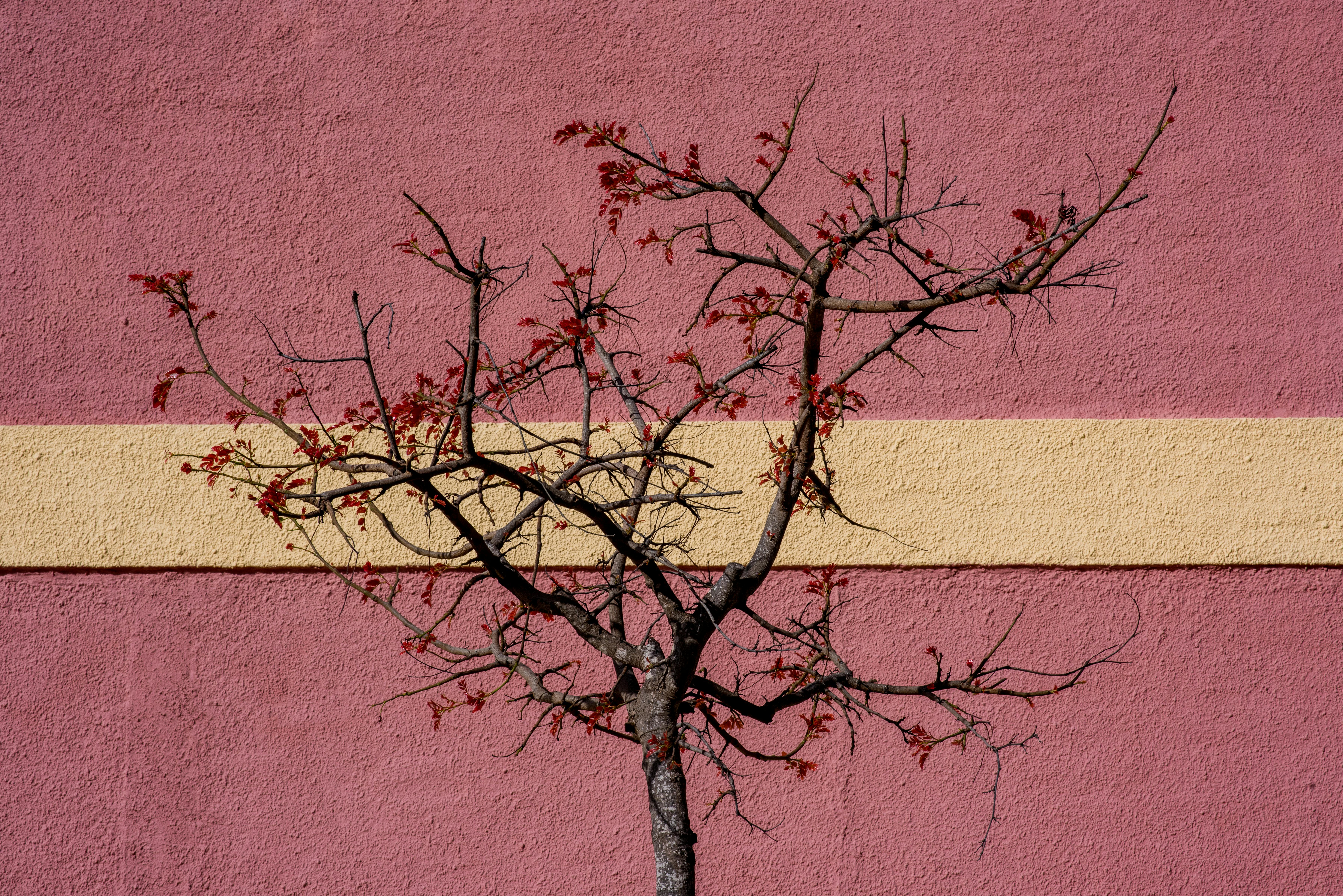 Unleashing the Inner Artist: How a Digital Detox Can Ignite Your Passion for Artistic Expression