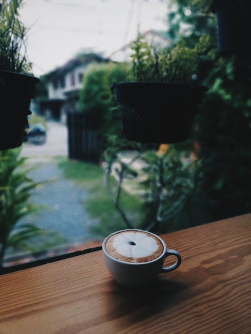 Δωρεάν στοκ φωτογραφιών με latte art, αναψυκτικό, αυγή