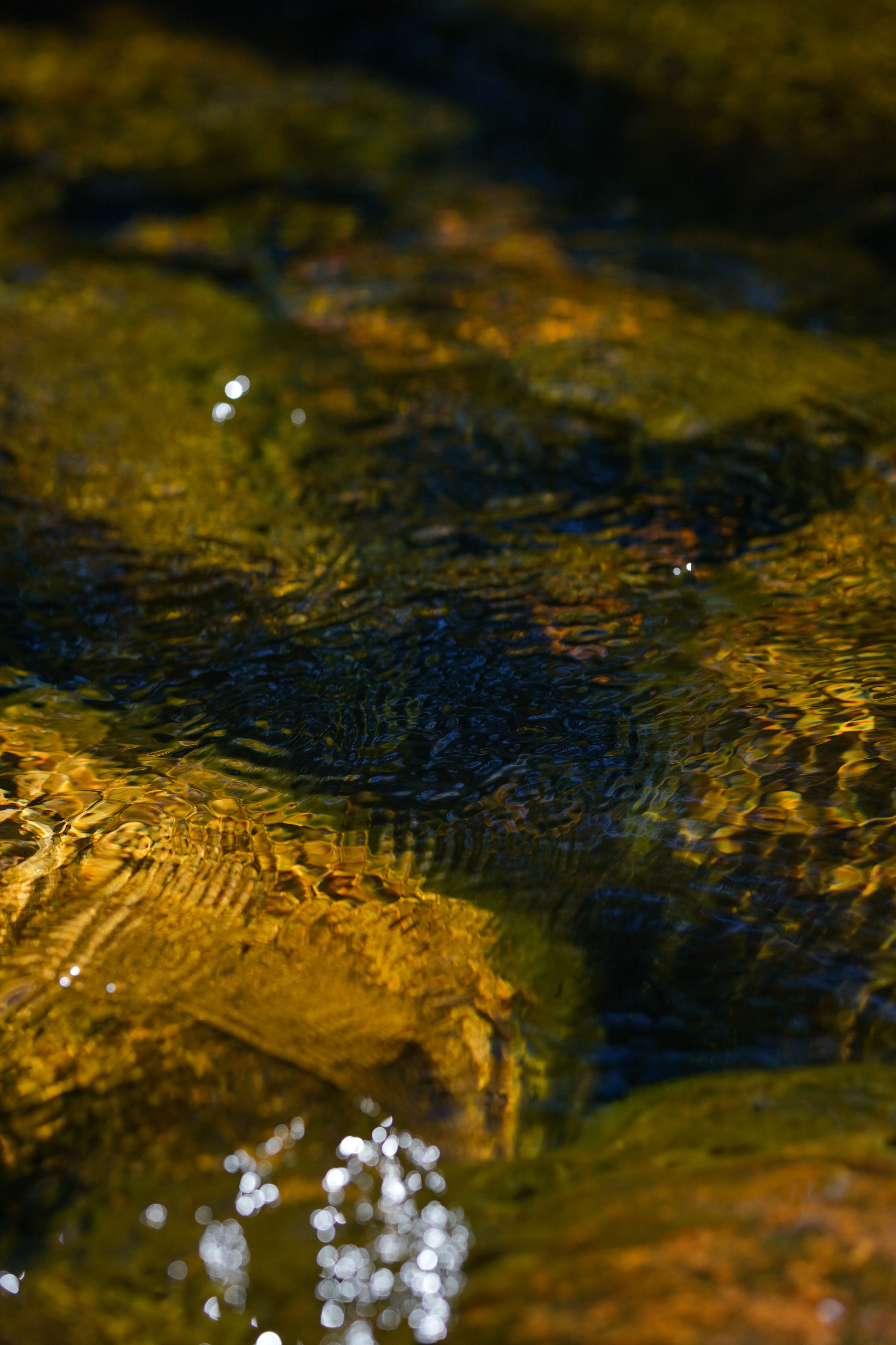 Vivid close-up of sunlight reflecting on rippling water over stones.