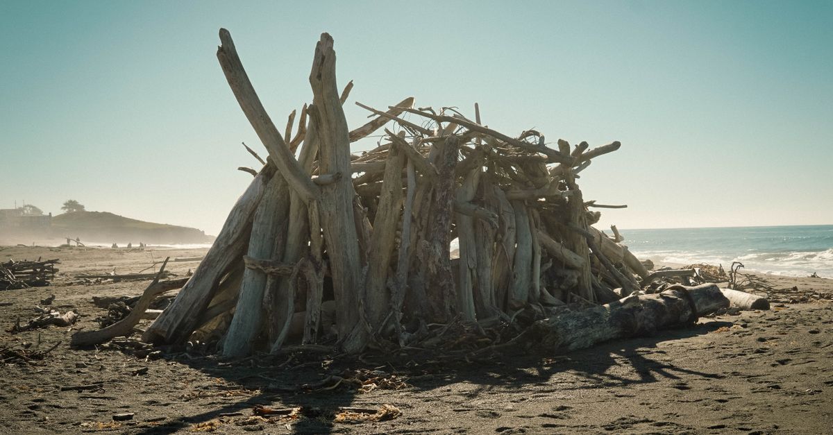 A driftwood structure stands on a serene Cambria beach under a clear sky.
