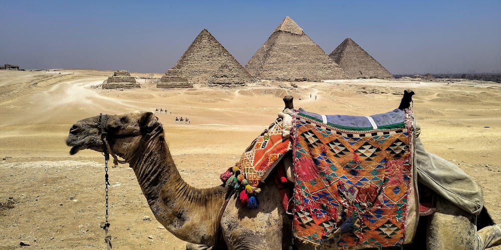 Nồi Chiên Không Dầu Camel - Giải Pháp Nấu Nướng Lành Mạnh và Tiện Lợi
