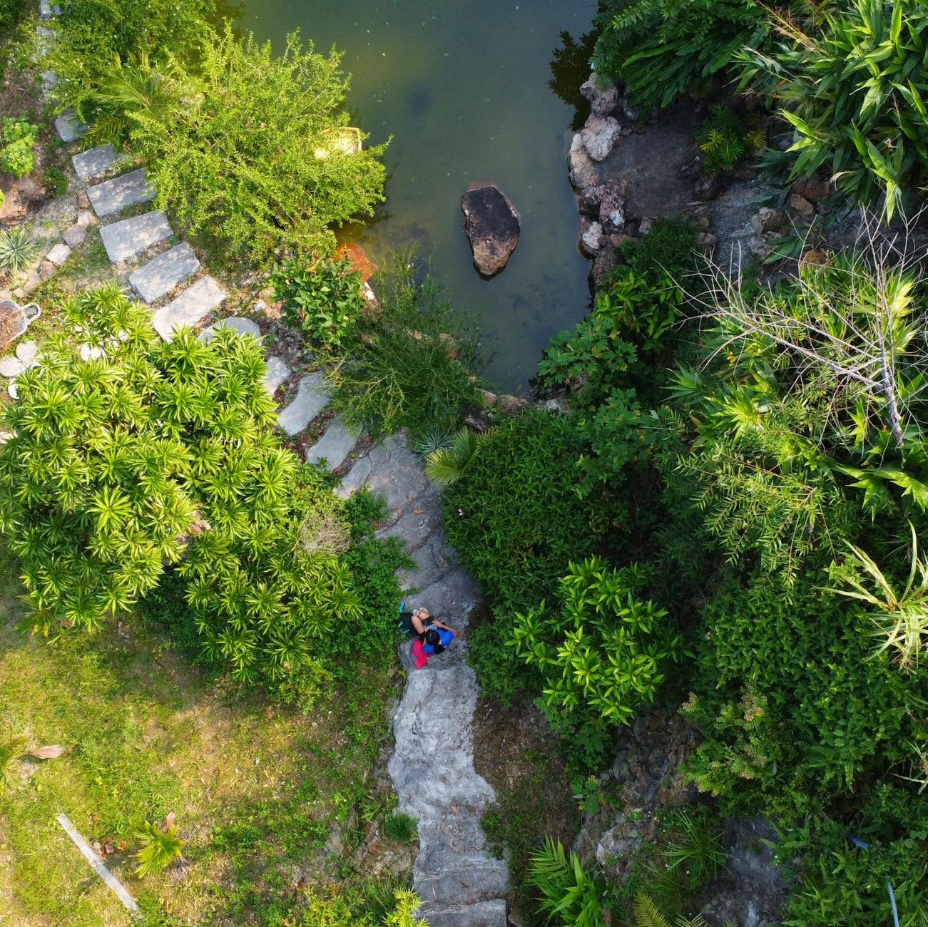 https://www.pexels.com/photo/aerial-view-of-lush-garden-pathway-and-pond-29712127/
