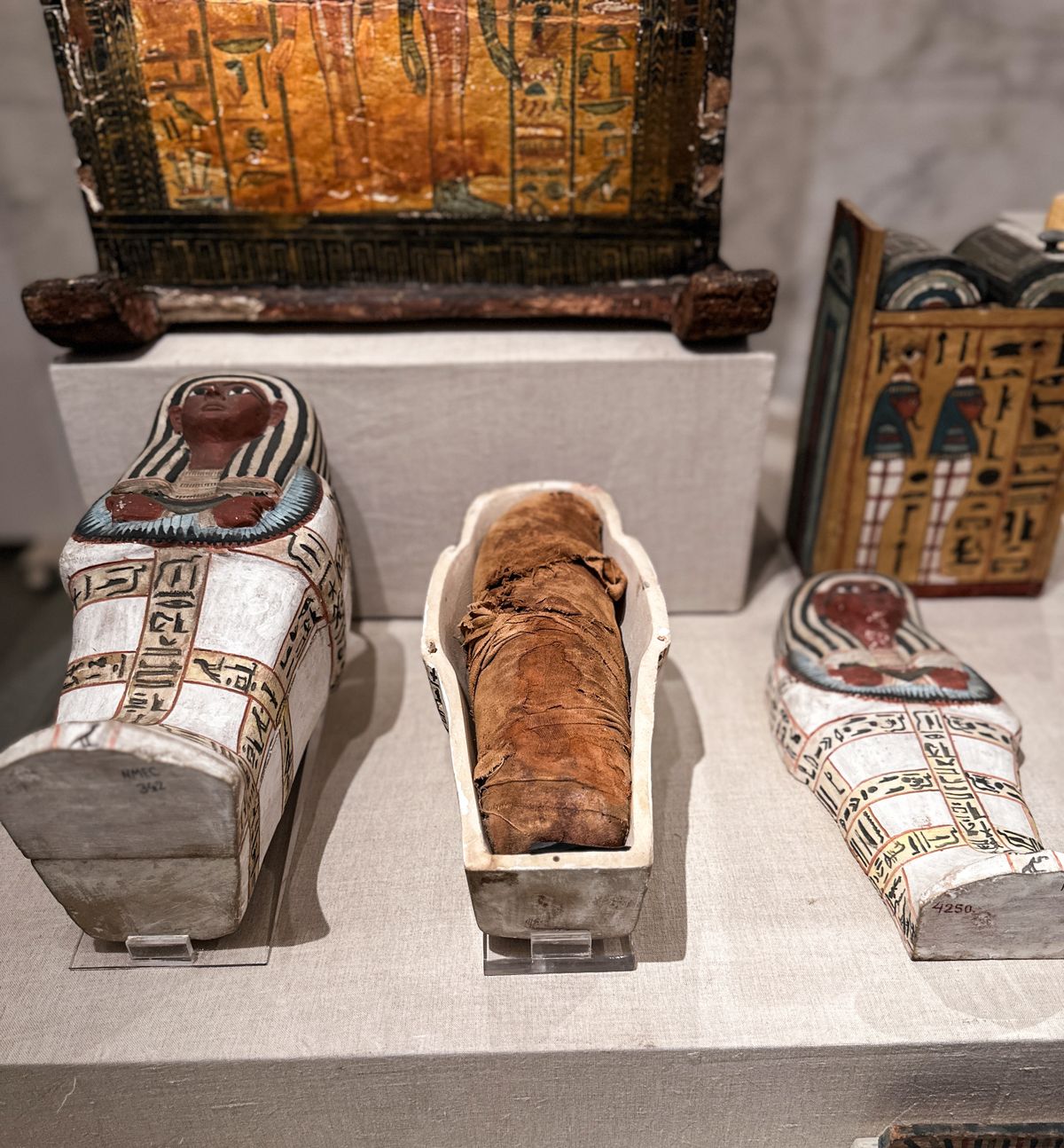 Ancient Egyptian artifacts and mummies in glass display cases