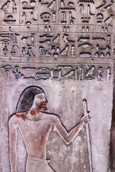 Detailed view of an ancient Egyptian wall relief with hieroglyphic script.. detailed, view, ancient