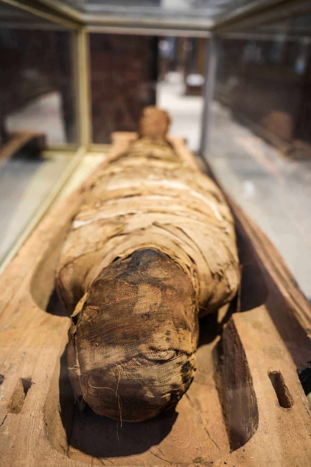 Ancient Egyptian Mummy In Museum Exhibit Free Stock Photo ancient-egyptian-mummy-in-museum-exhibit-free-stock-photo