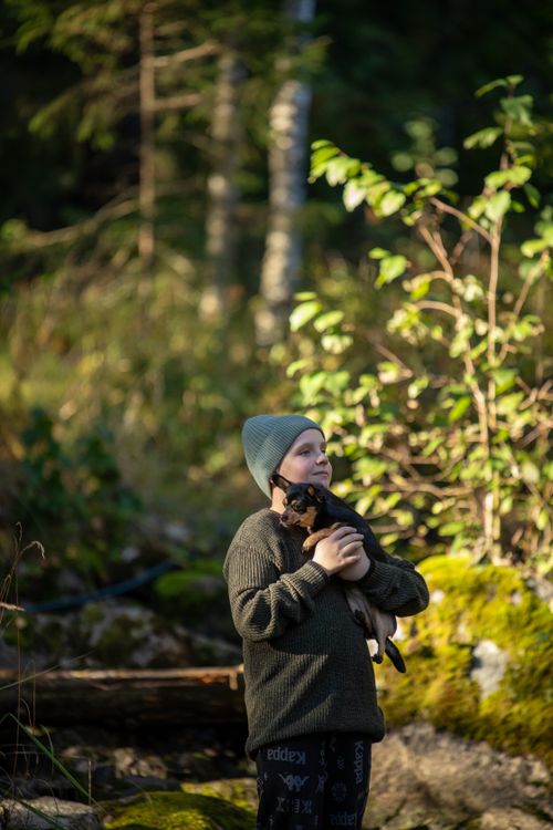 Free A boy wearing a beanie holds a puppy in a sunlit forest setting. Stock Photo