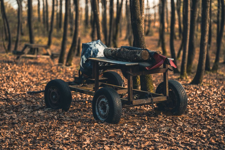 Ottawa's Homemade CANAM Cart Is Minting World-Class Bobsled Athletes