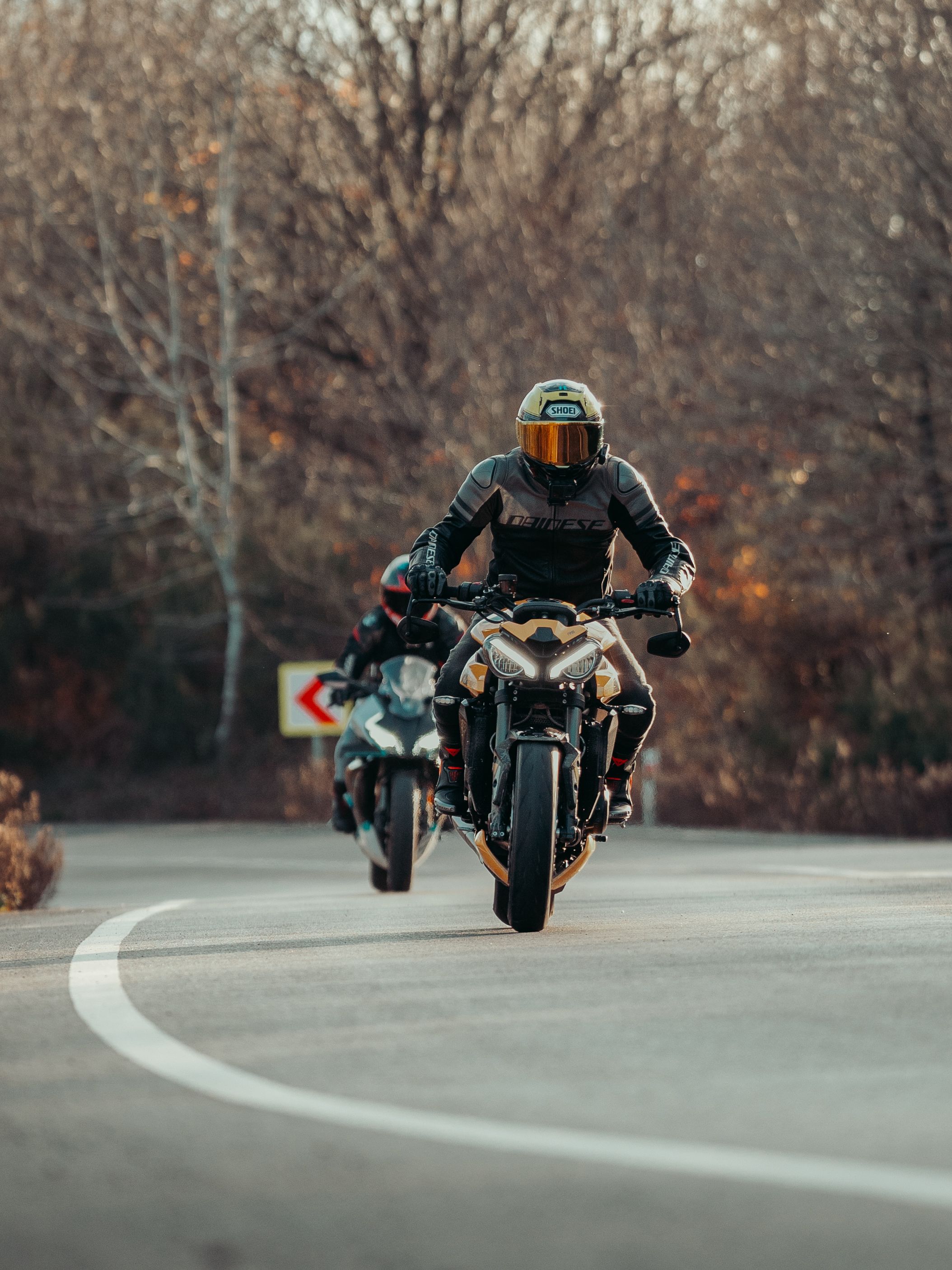 Motorcyclists Riding on a Curved Road in Fall · Free Stock Photo