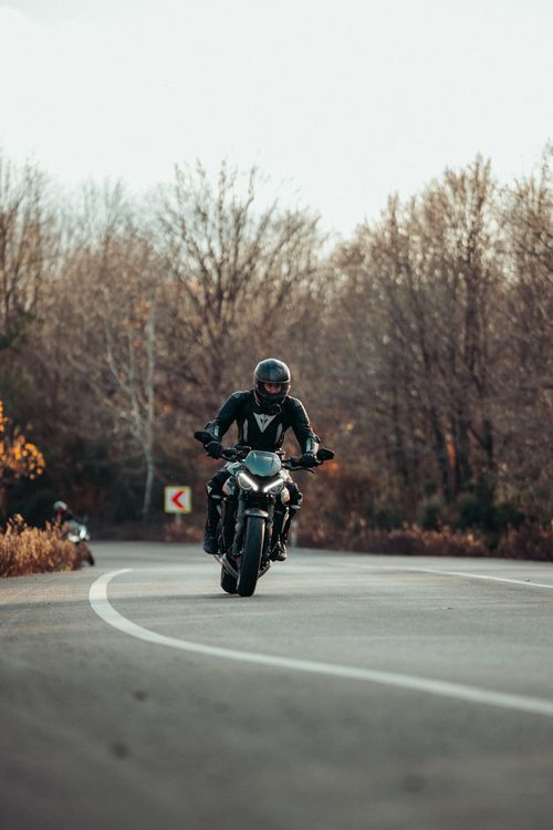 Free Motorcycle enthusiast riding on a winding forest road during autumn's colorful backdrop. Stock Photo