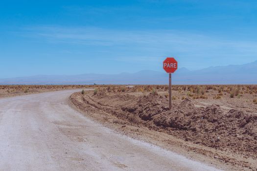 Laguna Cejar salt-lake float — Atacama Desert