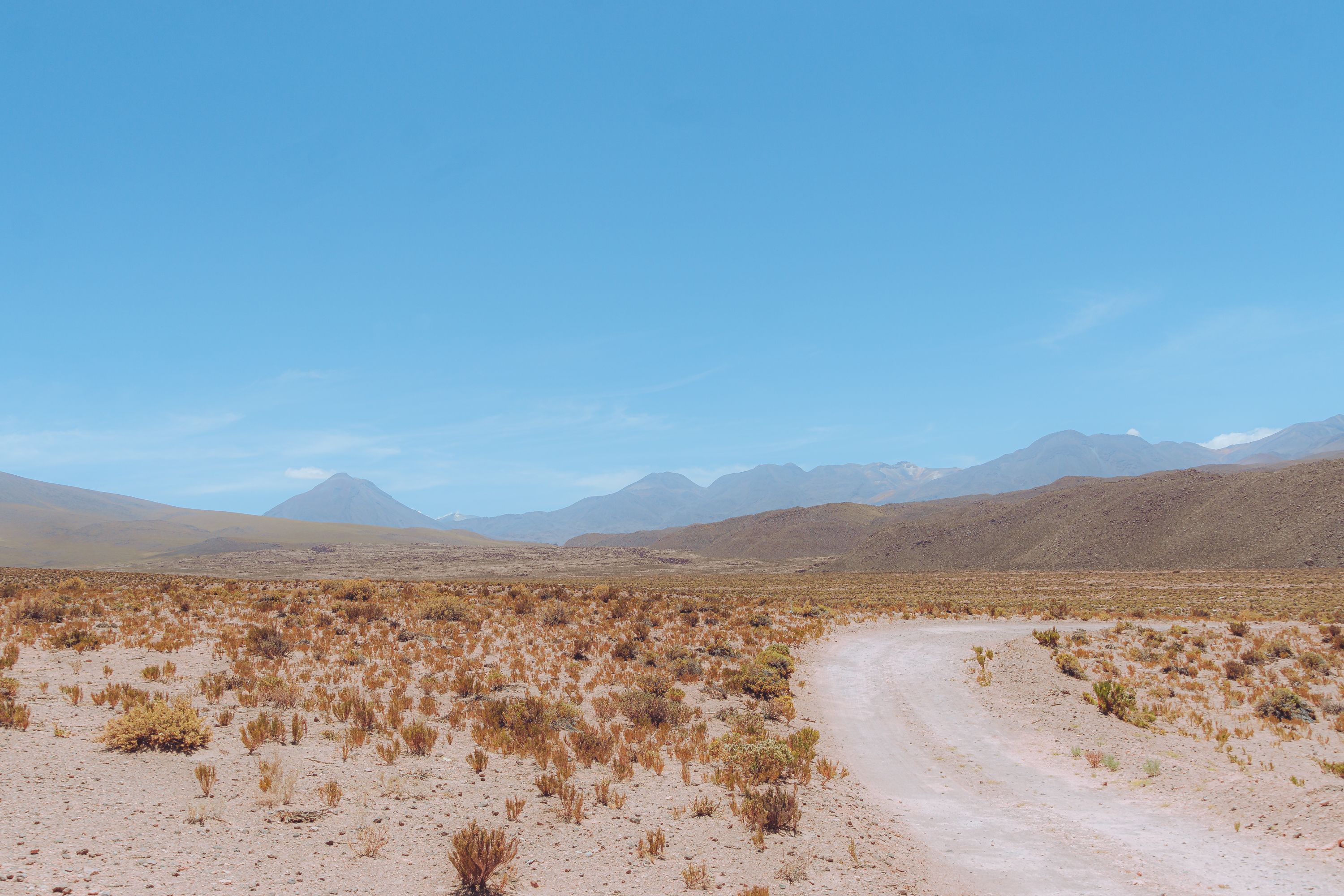 Stargazer's Retreat Guesthouse – Hostel in Atacama | Atacama