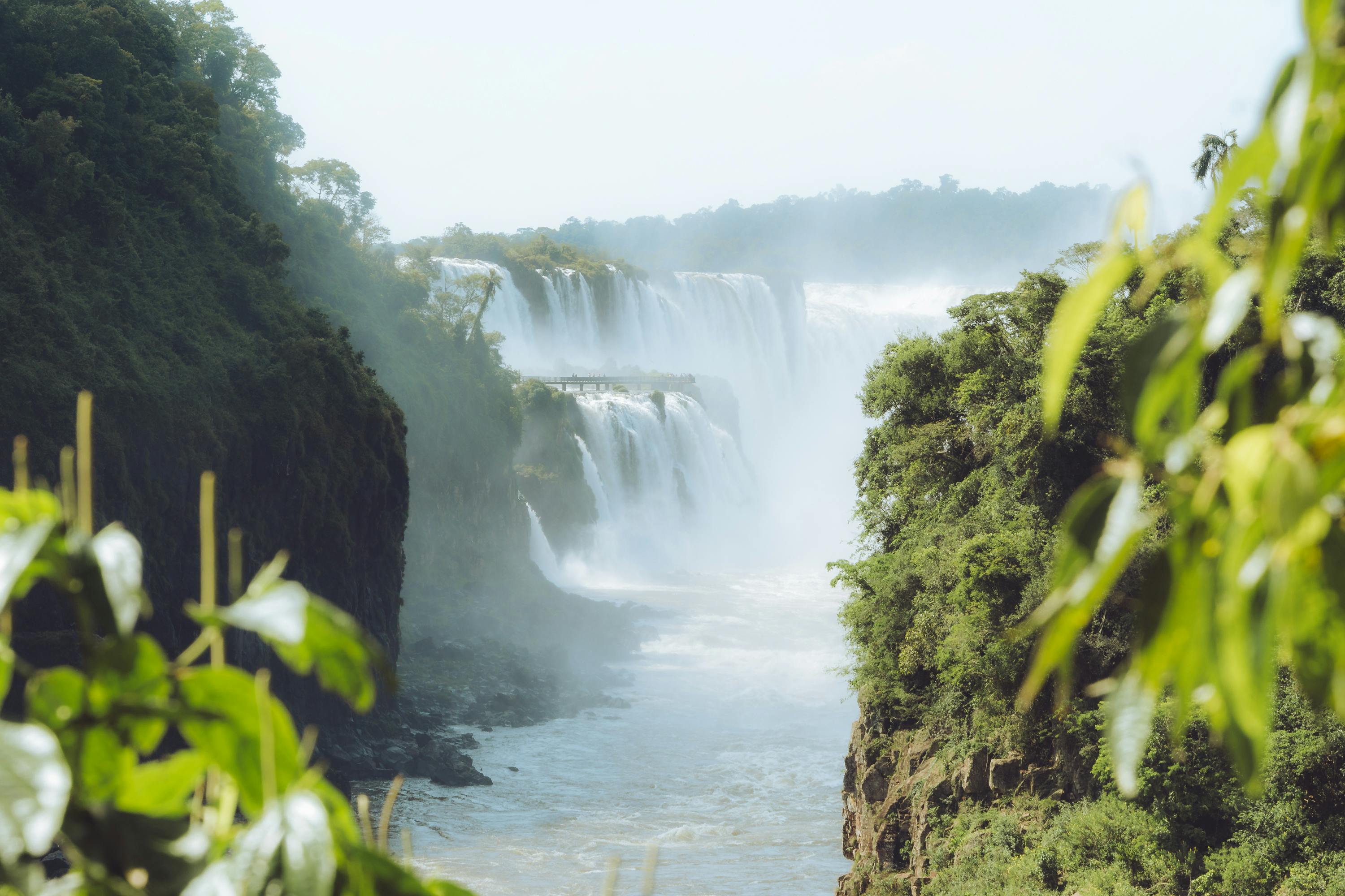 UNDP Argentina and the Government of Misiones Launch the World’s First Jaguar Protection Insurance — Photo by Csaba Marosi on