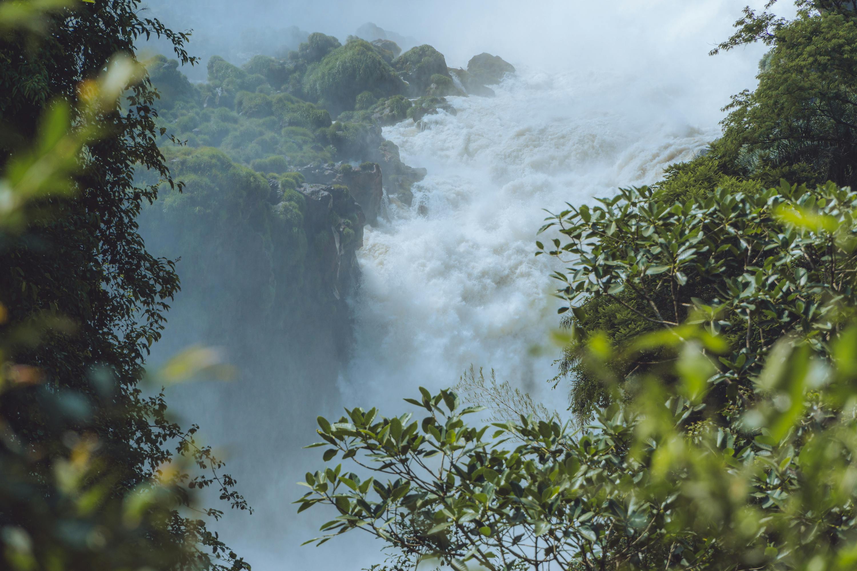 A breathtaking view of the powerful Iguazu Falls surrounded by lush greenery in Misiones Province, Argentina.