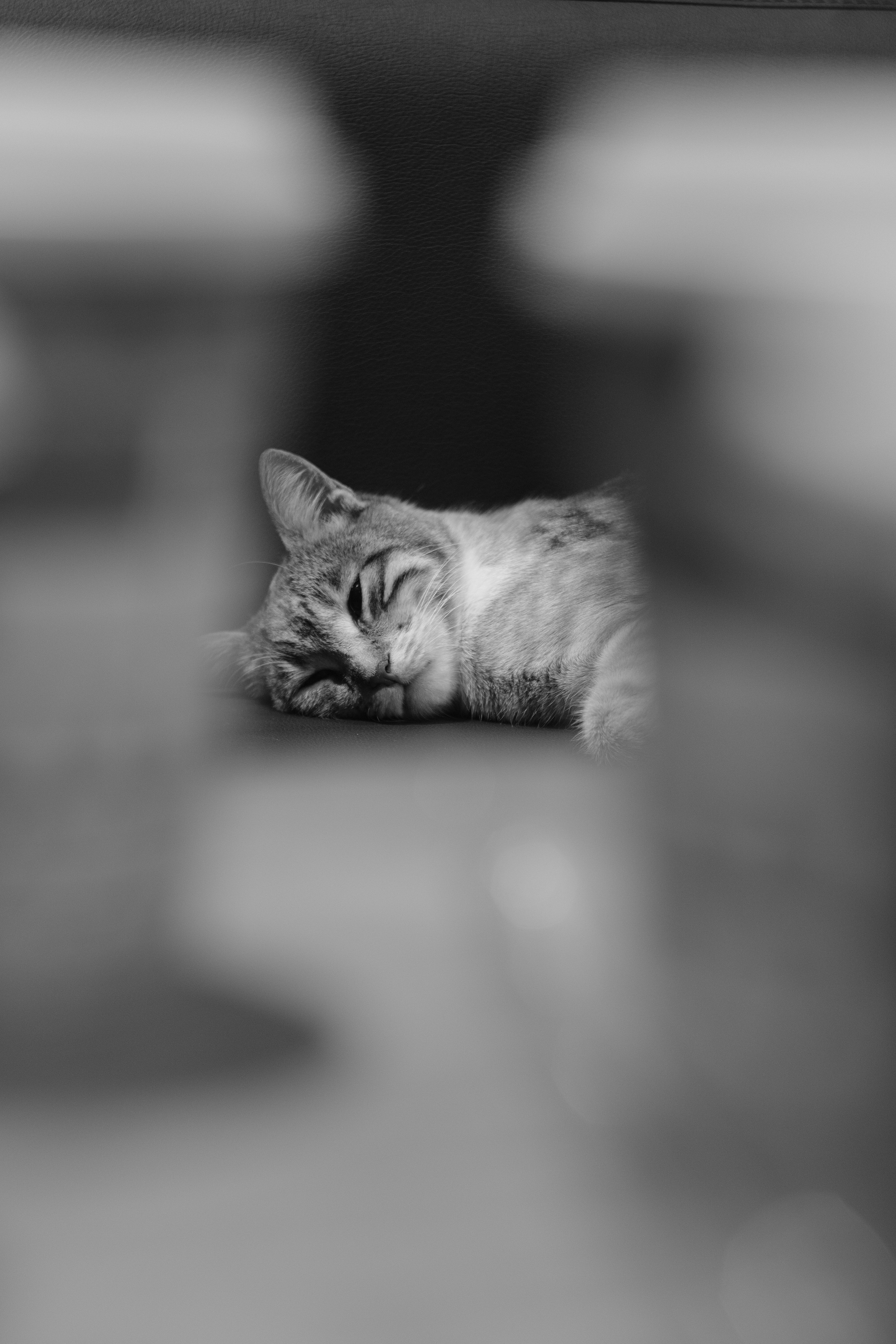 Blackandwhite Wallpaper Photos, Download The BEST Free Blackandwhite ...