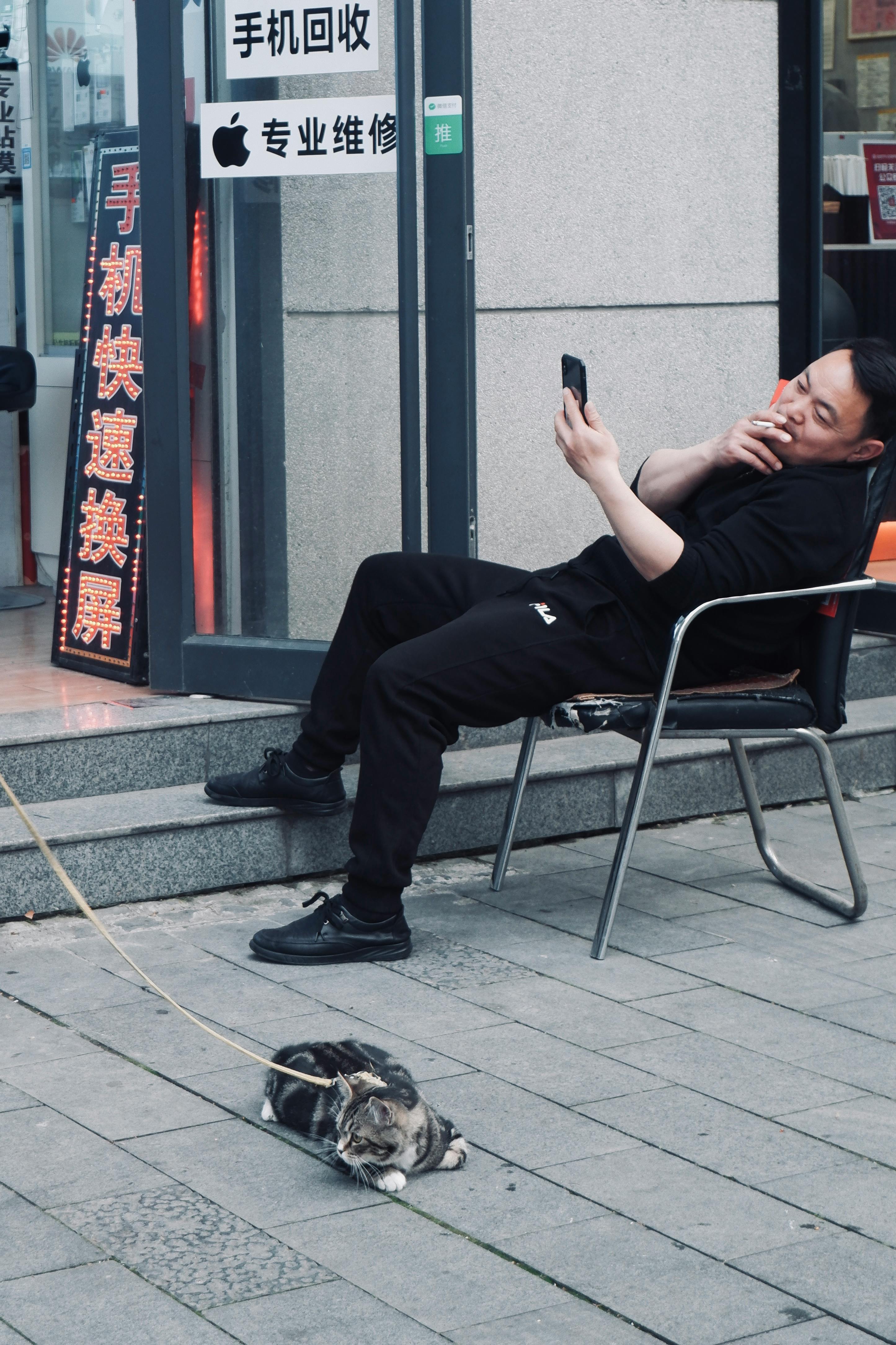 man relaxing with cat on leash in urban setting