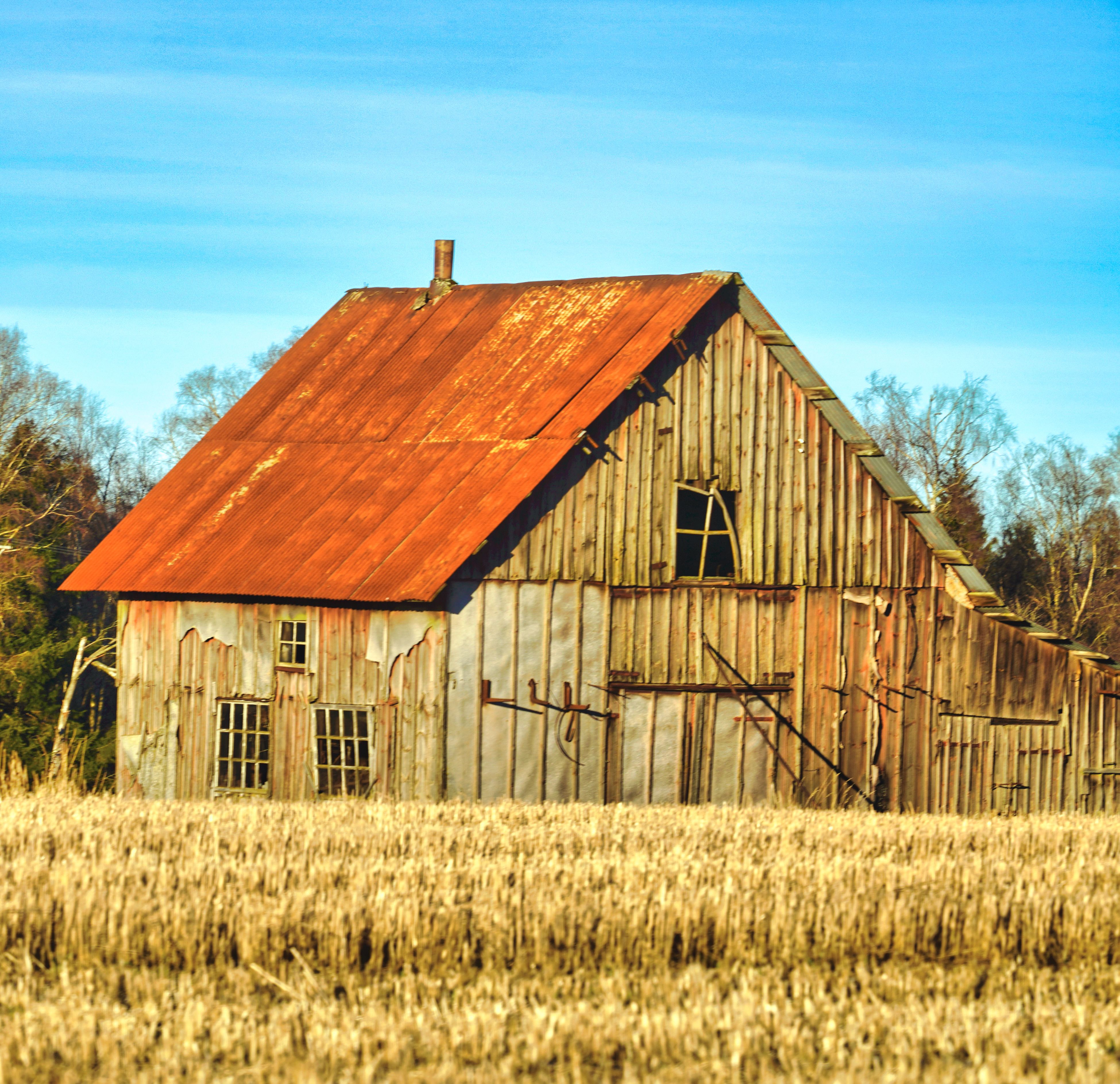 Historic dark-fired tobacco barn with weathered wood siding in Robertson County