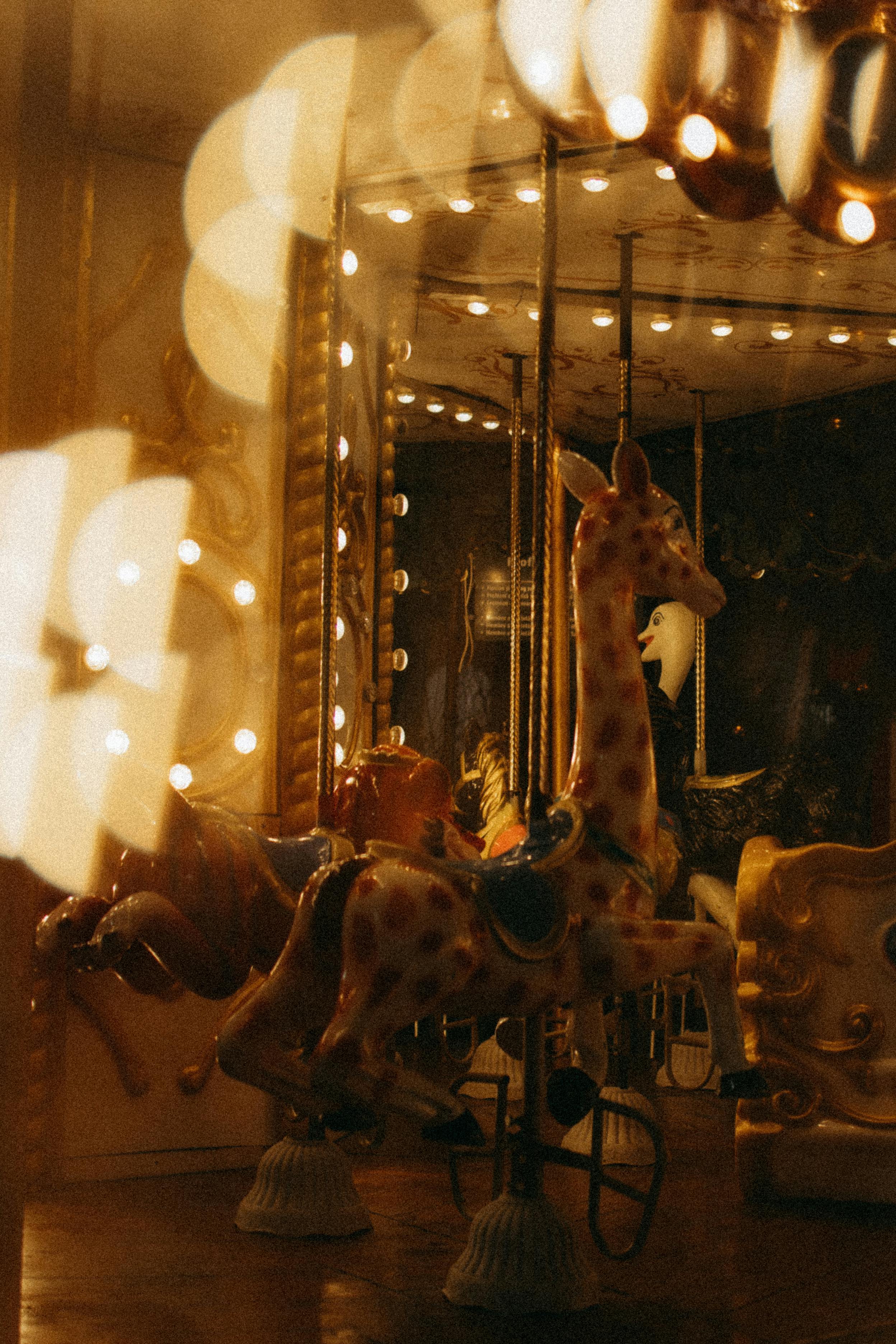 vintage carousel giraffe in warm light