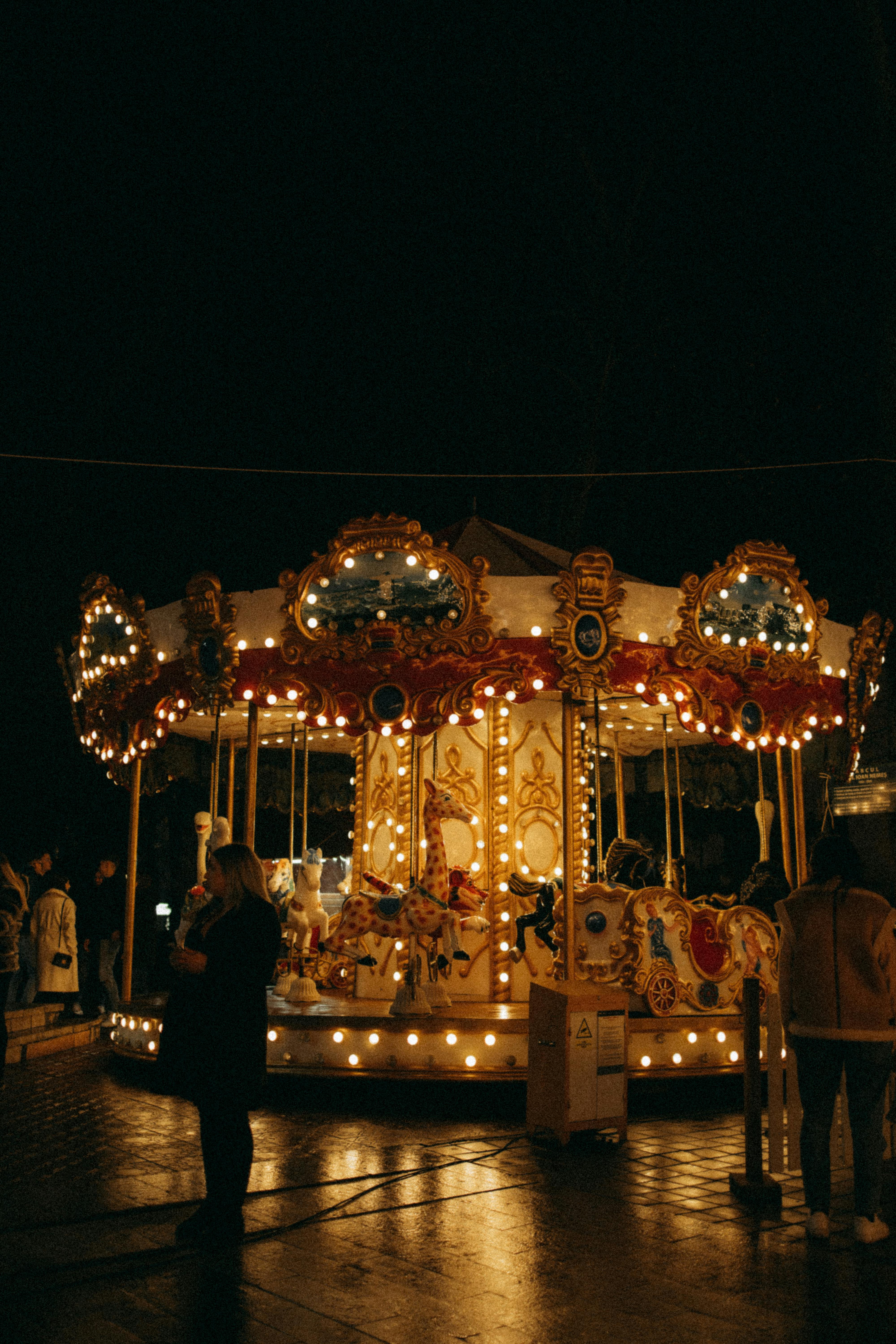 Final Thoughts: Go Experience the Magic!