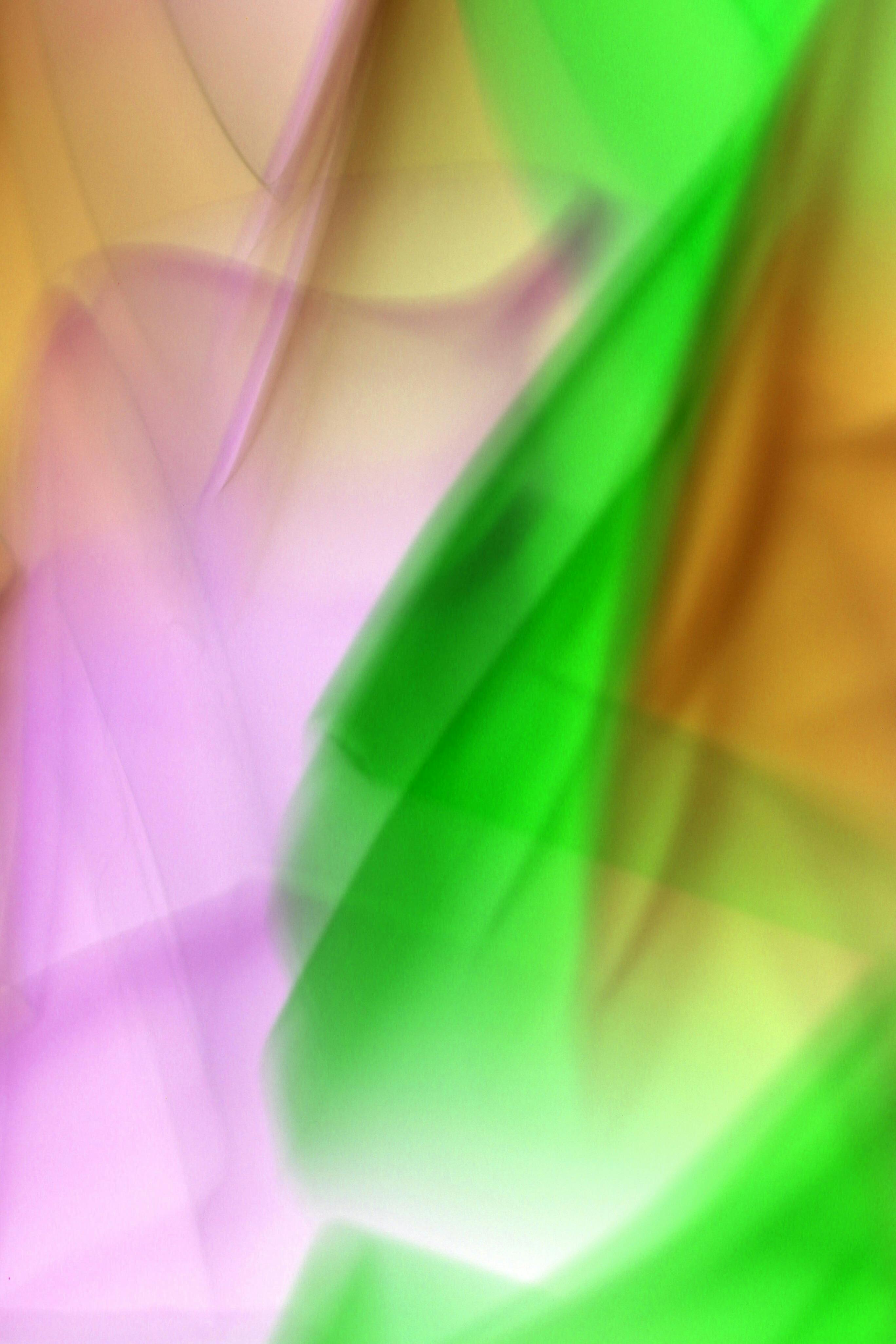 grátis Imagem abstrata vibrante com faixas de luz multicoloridas e fluidas. Foto profissional