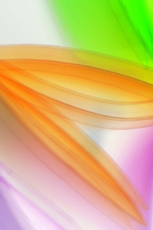 Free Vibrant abstract image with soft colorful light streaks creating a dynamic and ethereal effect. Stock Photo