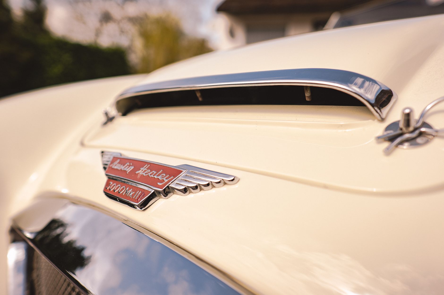 Close-up of Austin Healey 3000MkII car hood emblem and chrome details.
