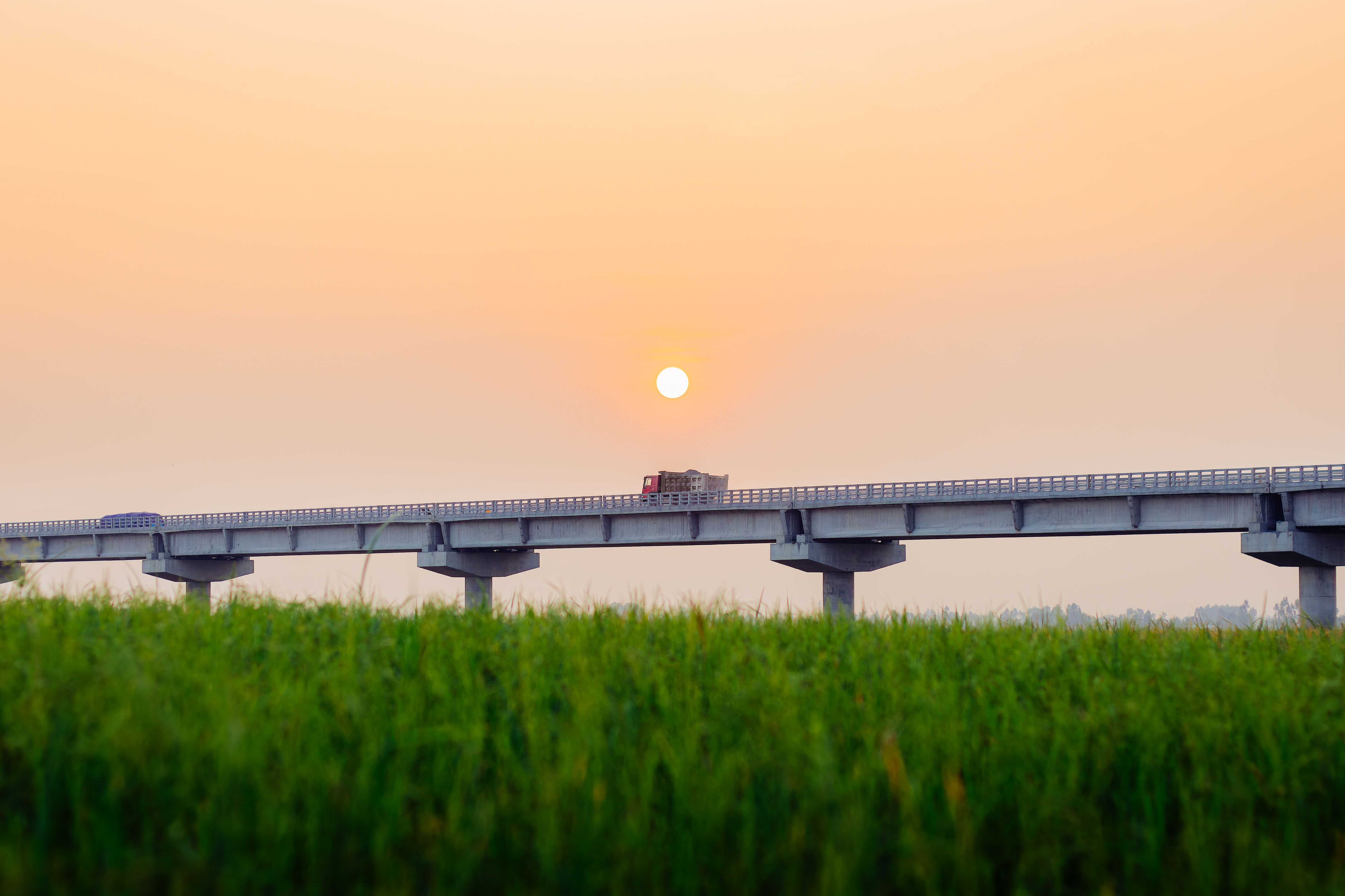 Tranquil sunrise over a scenic bridge with lush green fields in Chilmari, Bangladesh.