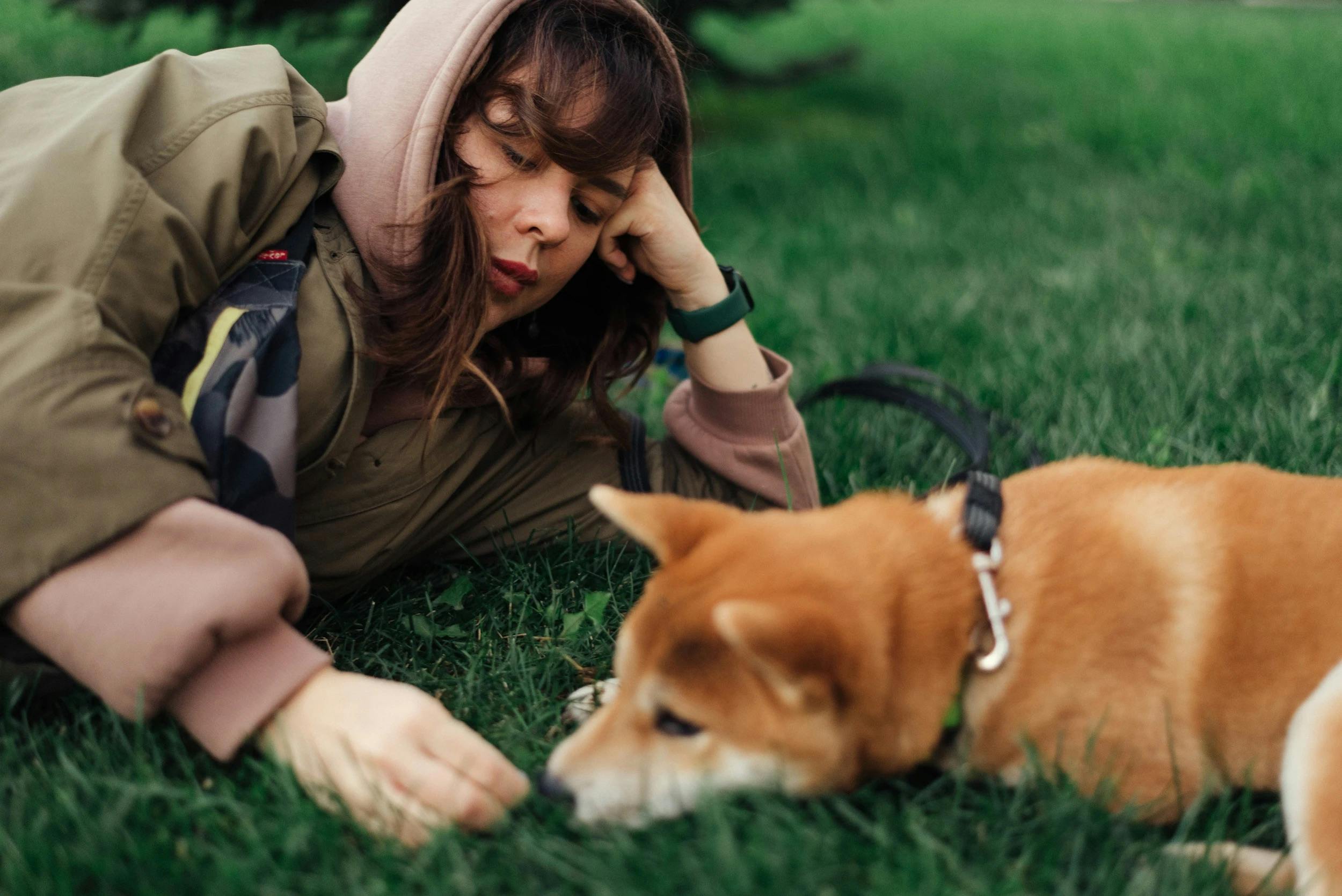 pet lifestyle pets lifestyle — Photo by Irina Kraskova on Pexels