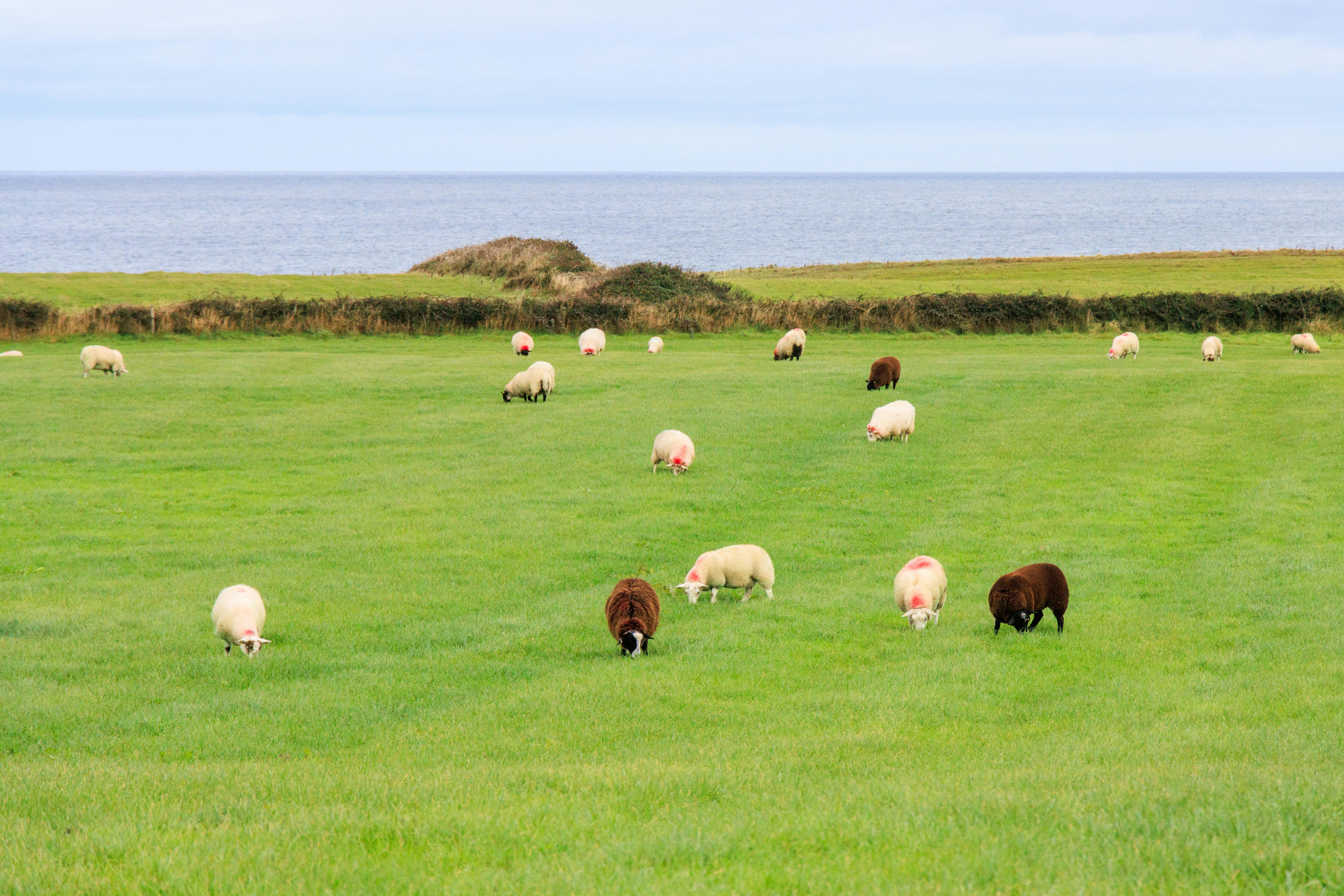 Itinerary Donegal