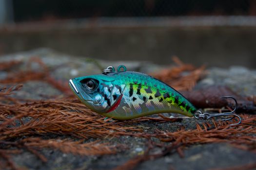 Vivid blue and green fishing lure placed on rocky surface with natural surroundings.