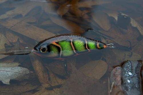 Free A colorful fishing lure floats on a leaf-covered water surface, illustrating an outdoor autumn theme. Stock Photo