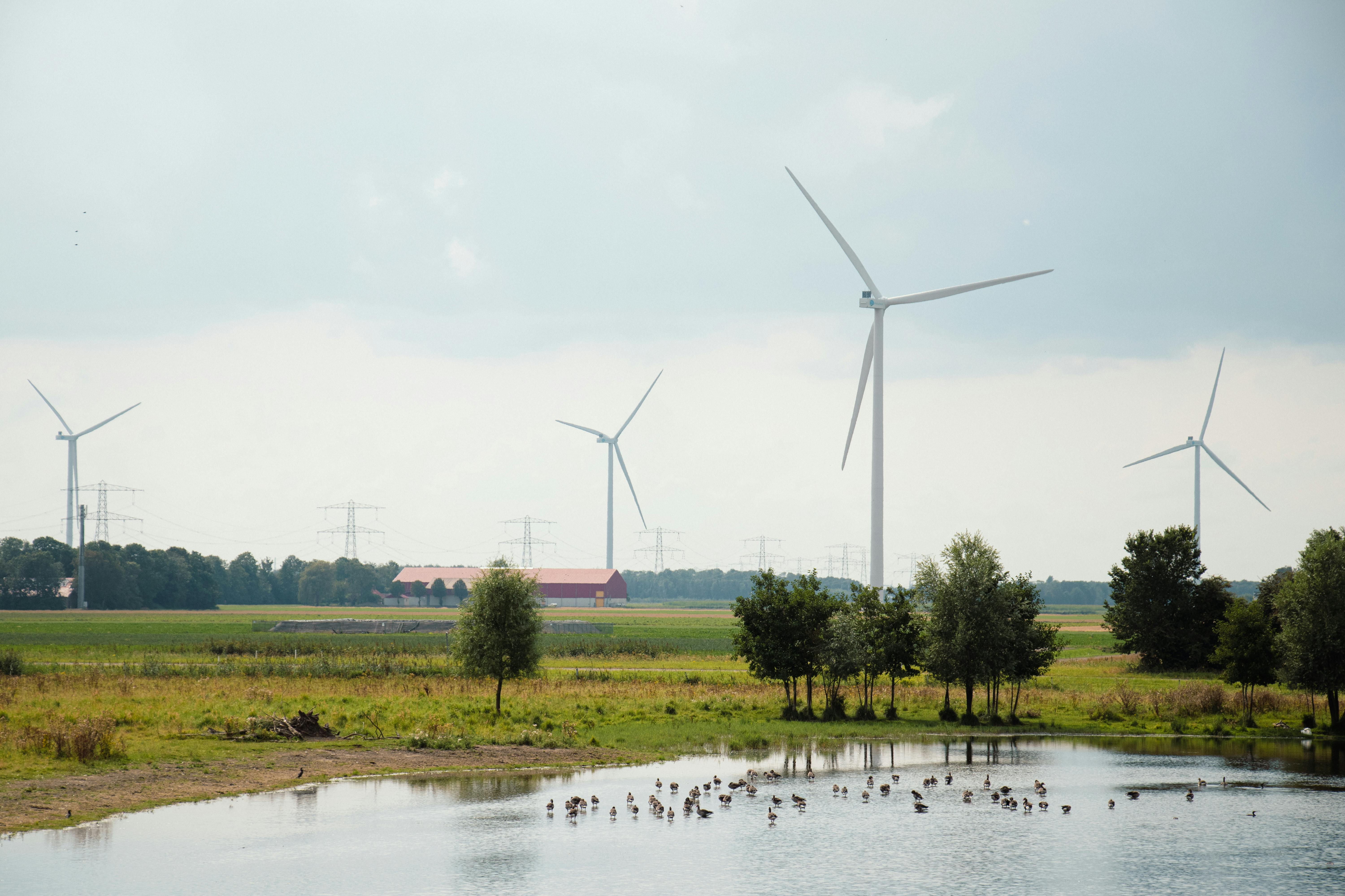 wind turbines and scenic polder landscape