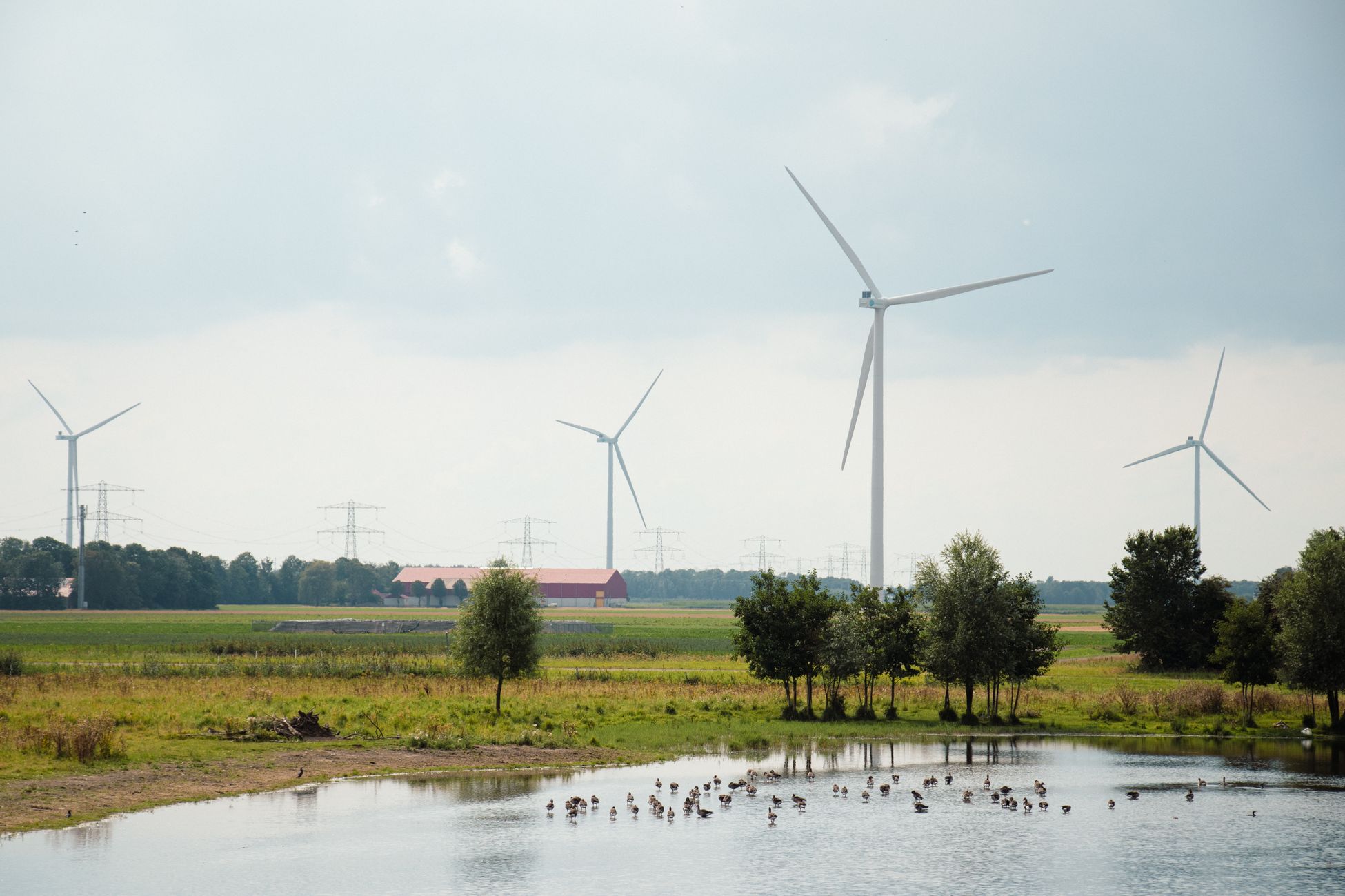Aantal thuisbatterijen in Nederland meer dan verdubbeld