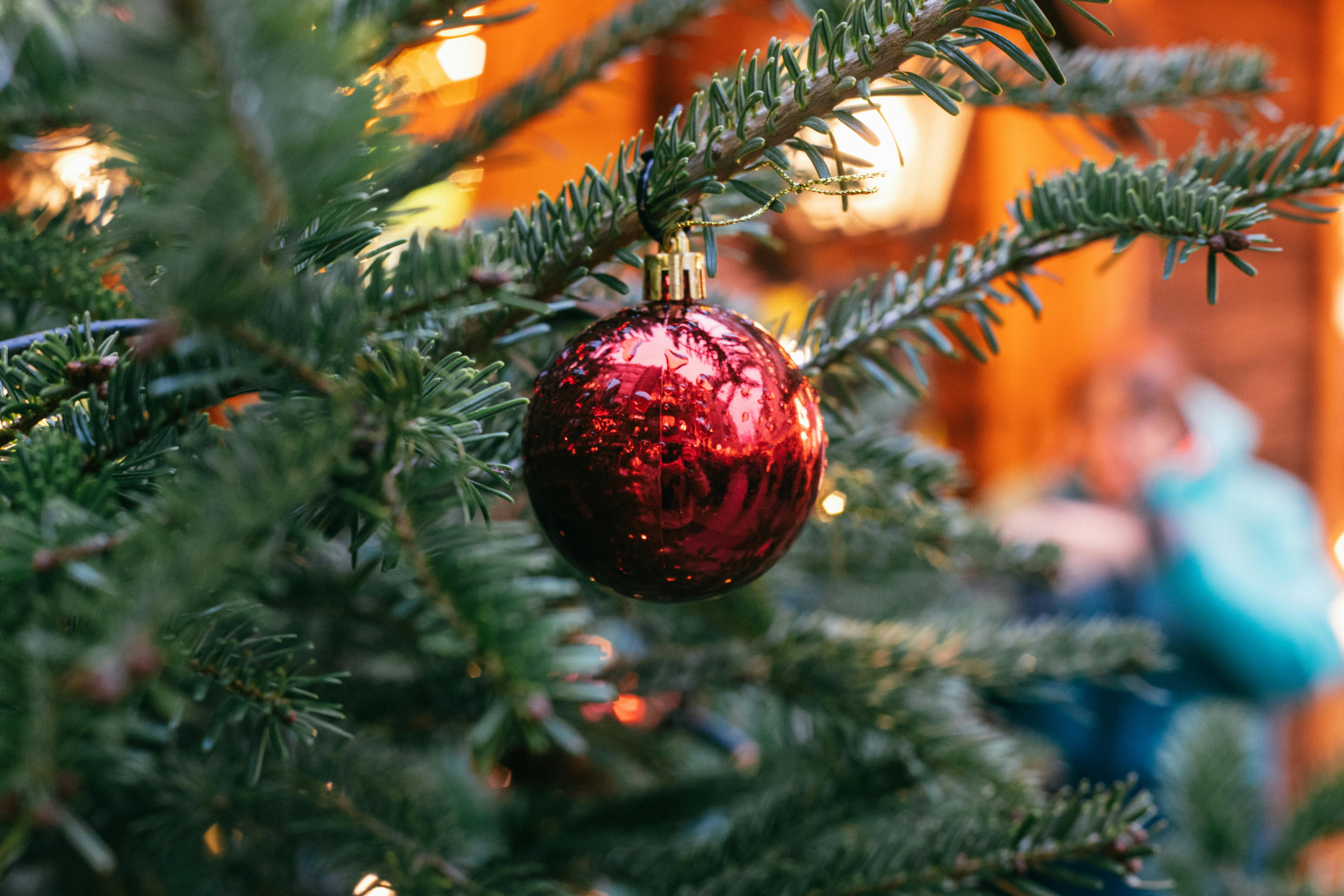 festive red ornament on christmas tree branch