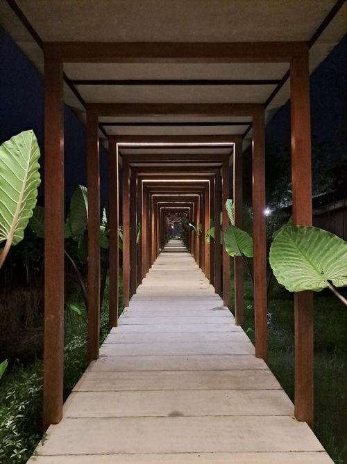 Free A mesmerizing symmetry of wooden arches over a walkway surrounded by lush greenery at night. Stock Photo