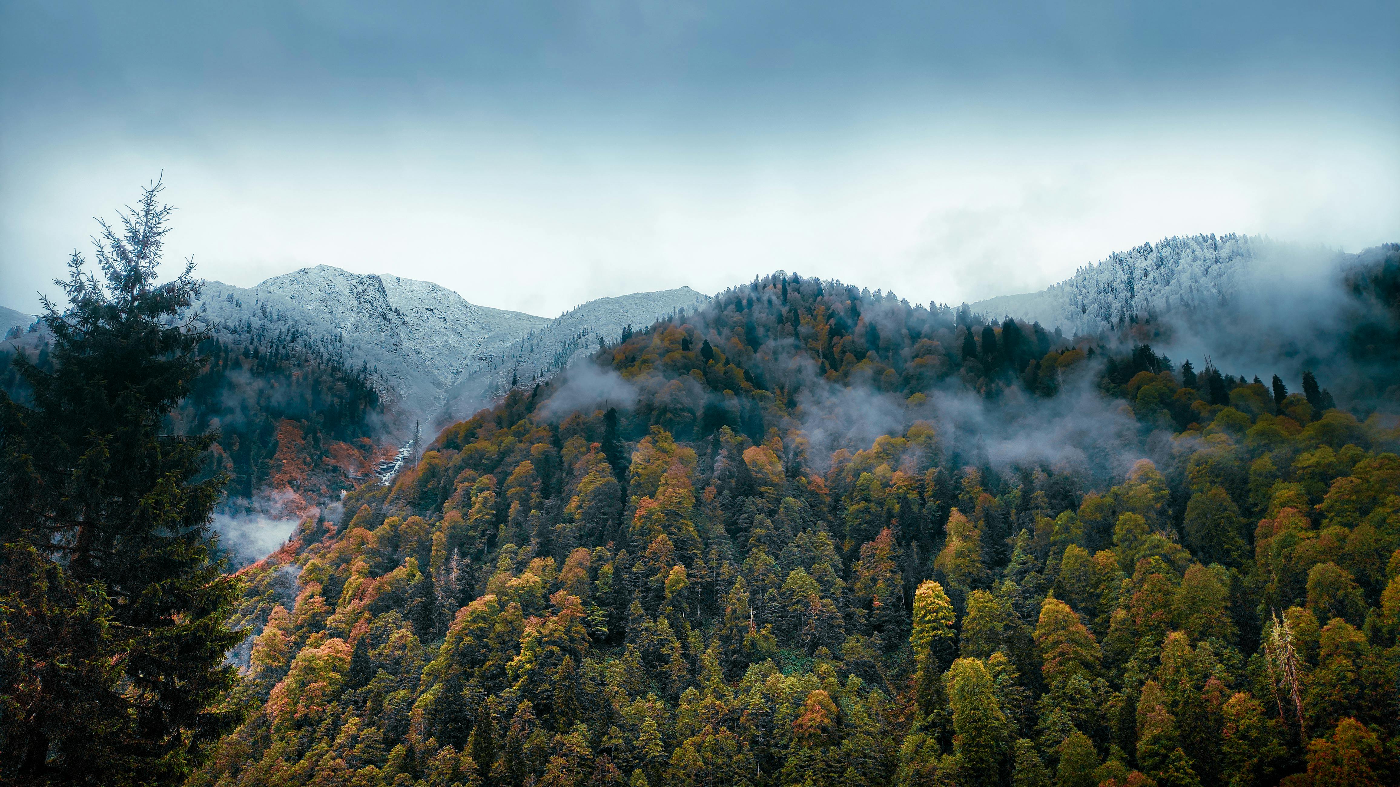 foggy autumn landscape with snowy mountain