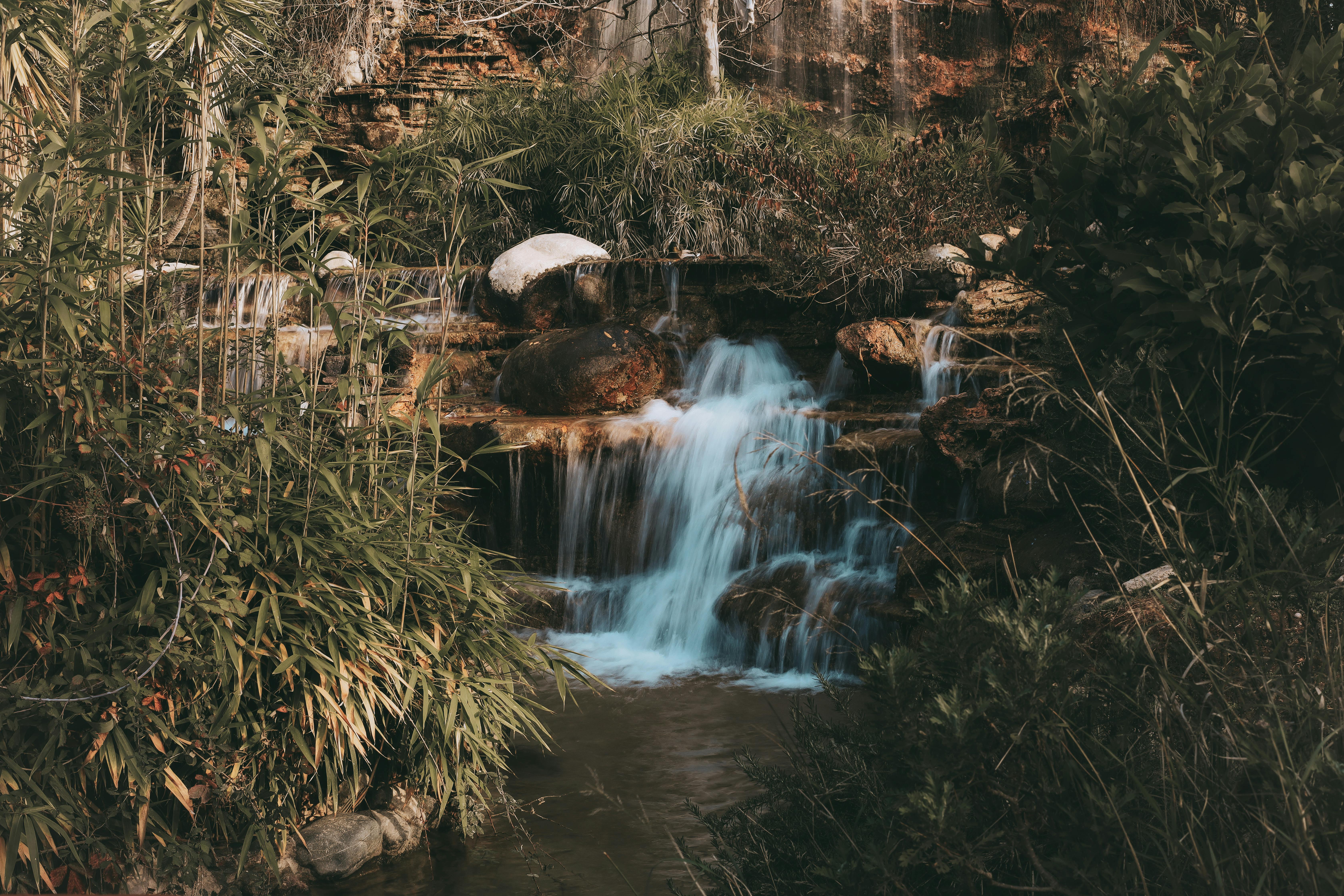 Aufstellungen Teilnehmer Fenerbahçe Gegen Adana Demirspor – Wer Gewinnt? 2 Überraschende Teilnehmer-Updates: Fenerbahçe vs Adana Demirspor Prognose 2024