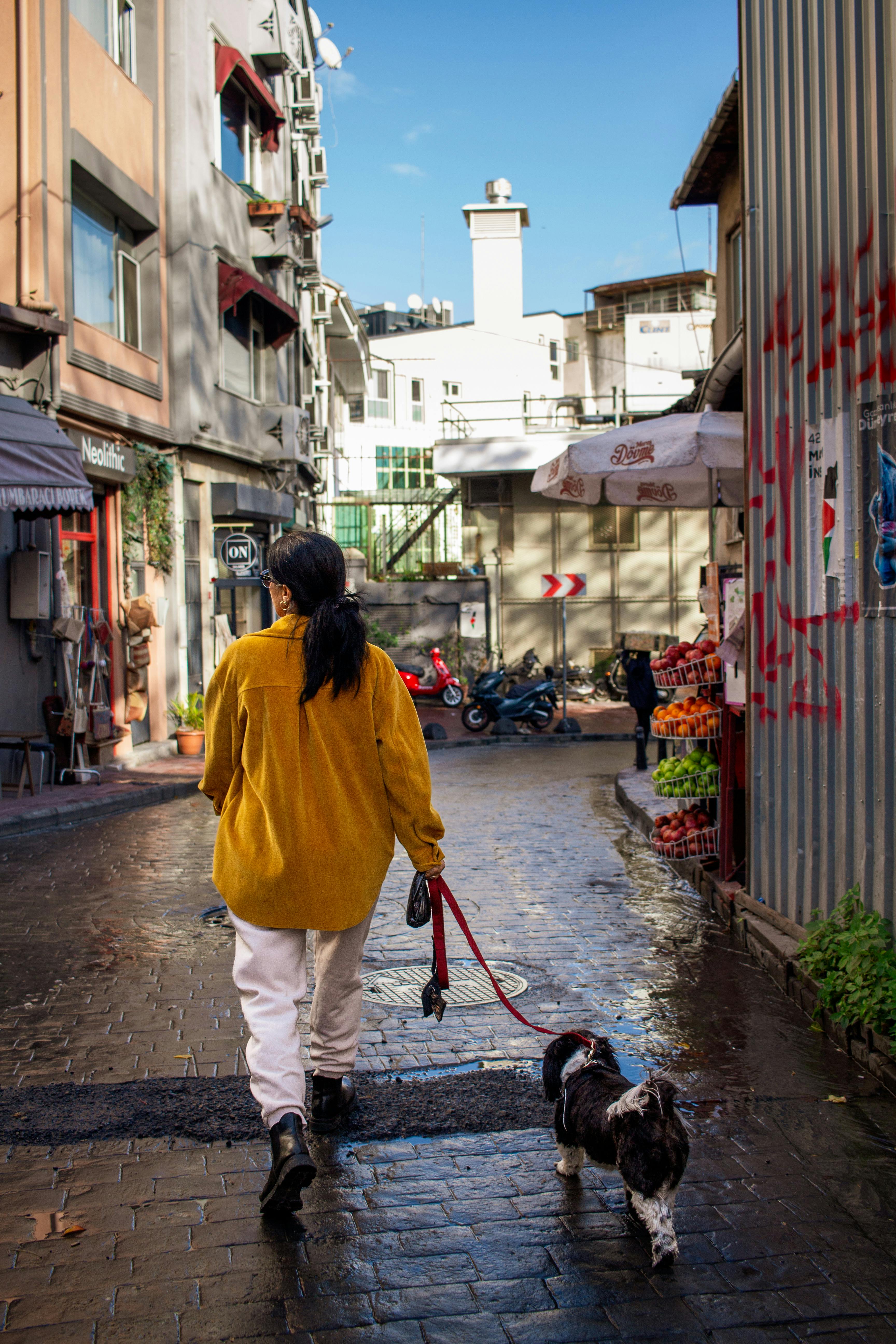 A woman in a bright yellow coat walks her dog on a lively city street filled with color and urban activity.