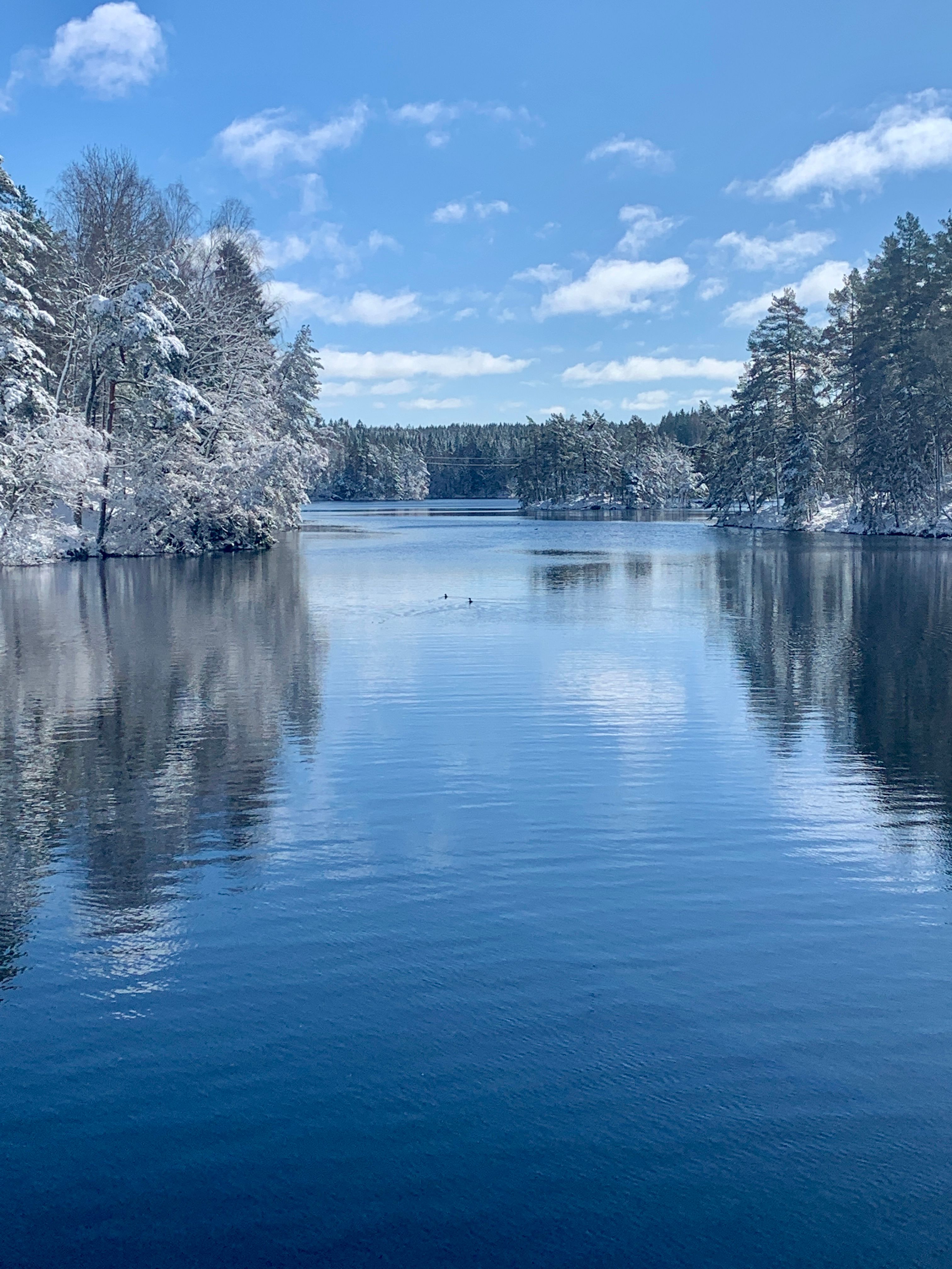 Peaceful Snowy Lake in Swedish Springtime · Free Stock Photo