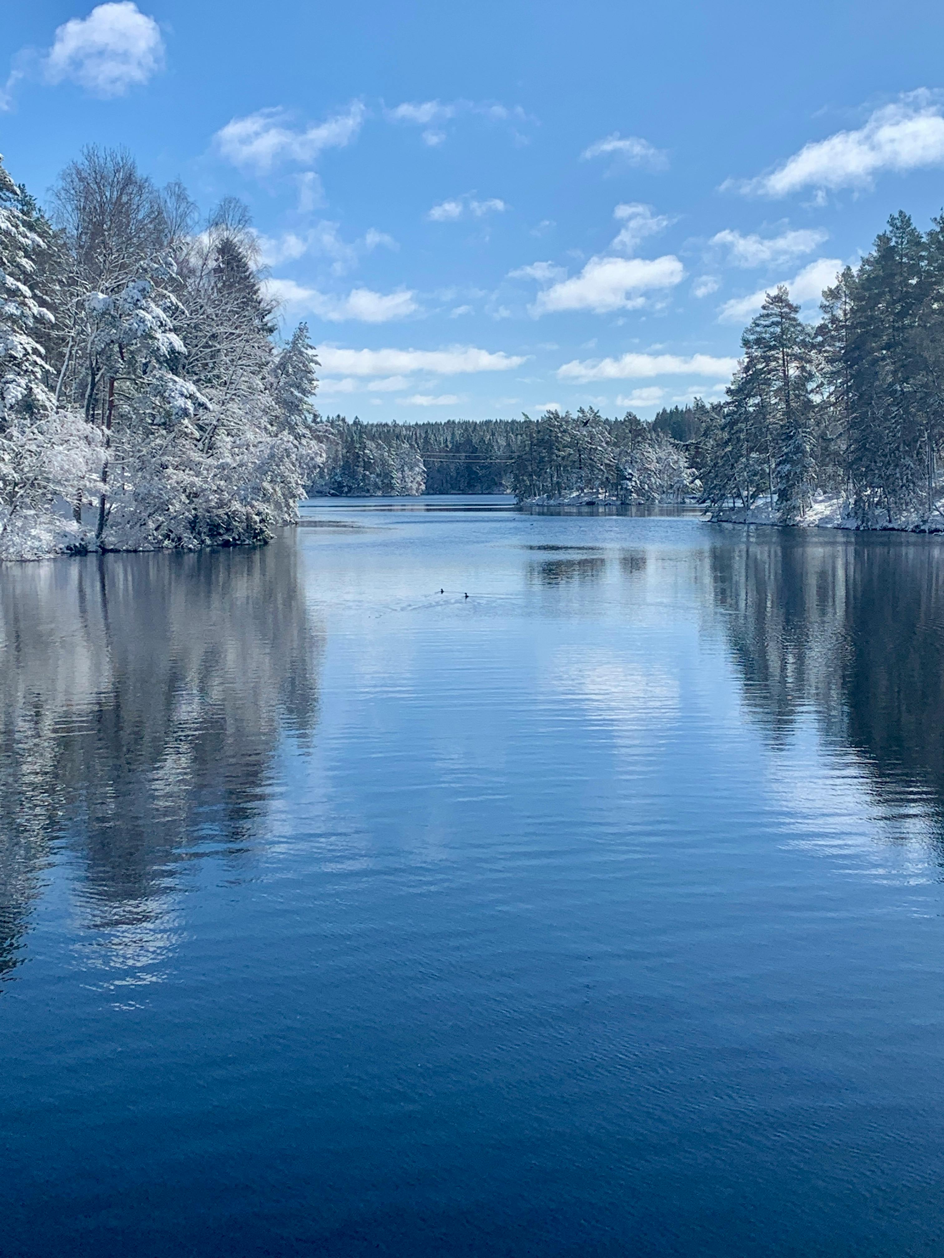 Winter And Spring Photos, Download The BEST Free Winter And Spring ...