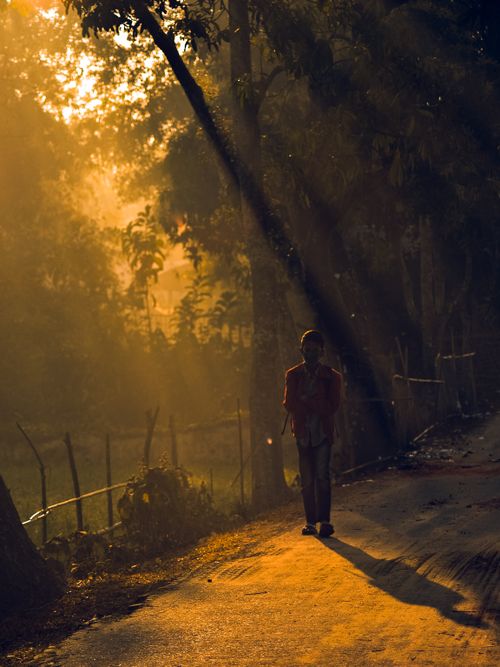 Free A lone figure stands on a sunlit pathway surrounded by lush trees during early morning. Stock Photo