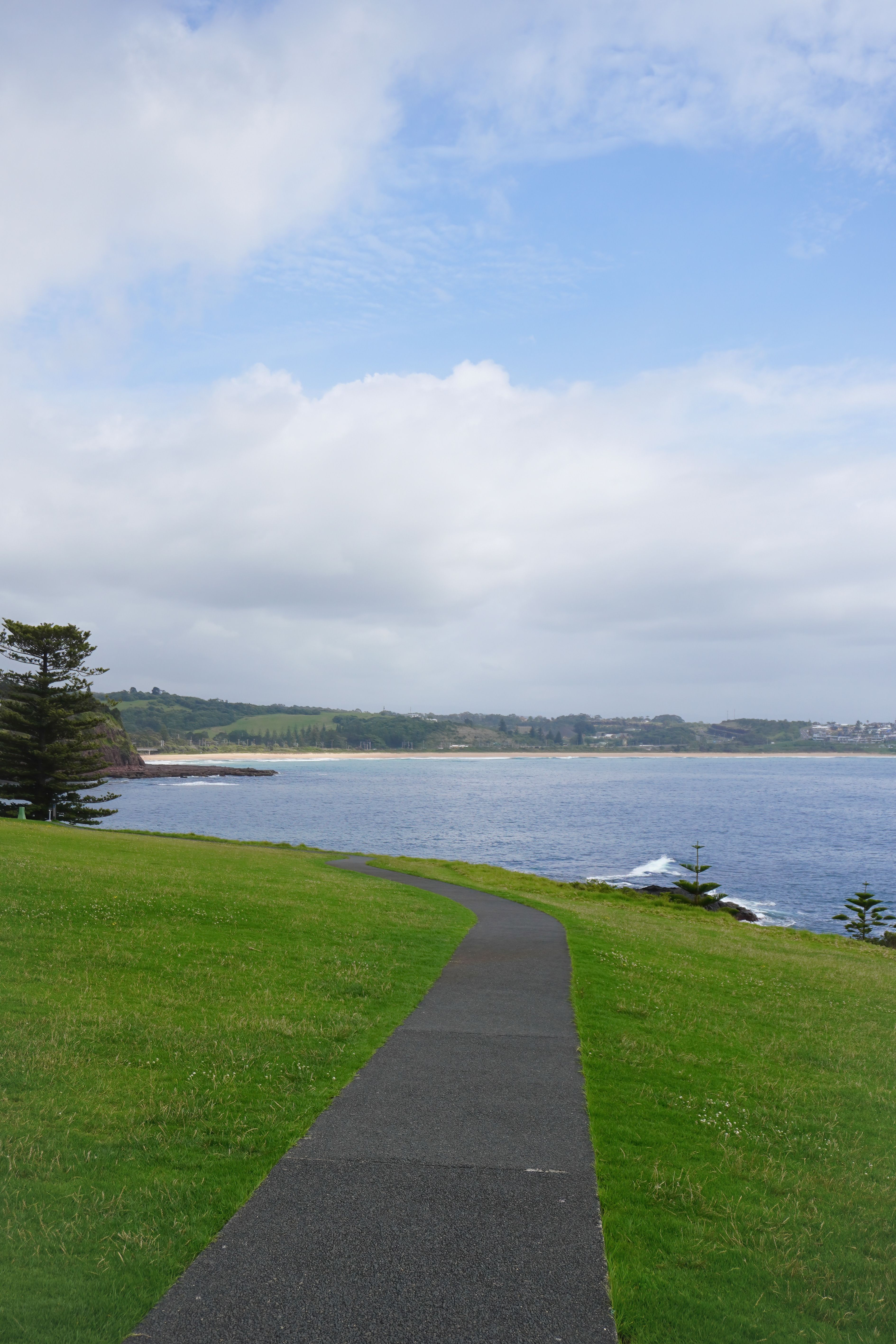 Scenic Coastal Pathway with Ocean View · Free Stock Photo